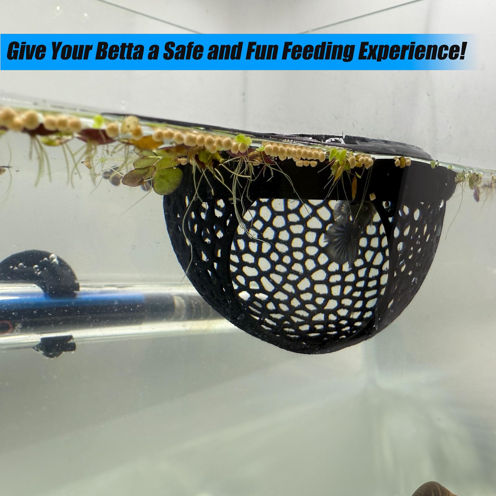 Aquarium Floating Betta Fish Skins, Betta or Shrimp Feeder, Cave and Hammock, Small Fish Feeding Rings, Aquarium Hiding Feeding