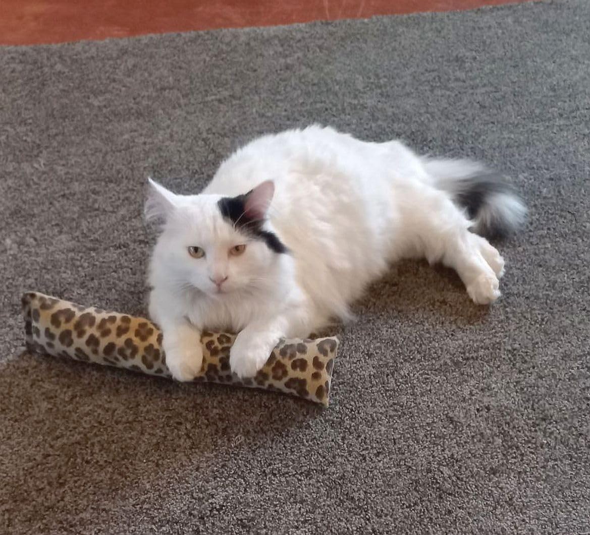 West Coast Pet Products 15' Catnip Cat Kicker Toys/Kitty Kick Sticks/Cat-Nip Kick Sticks (Leopard Print) (Kickers Filled With 1 Oz Premium Canadian Catnip)