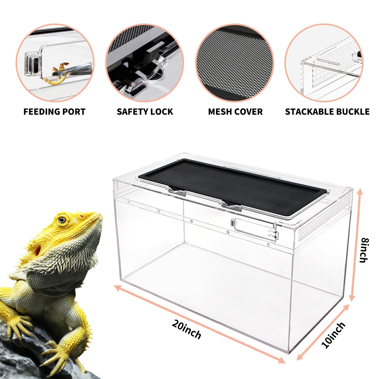 Reptile Pc Terrarium Set, 6.6 Gallon Reptile Tank 20'' X 10''X 8'',For Insect,Fish,Tarantula,Hermit Crab,Jumping Spider,Iguana,T