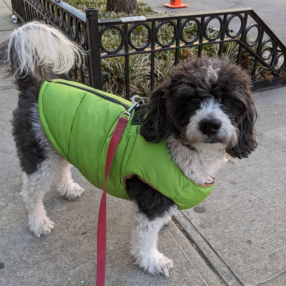 Gooby Padded Vest Dog Jacket - Solid Green, Small - Warm Zip Up Dog Vest Fleece Jacket With Dual D Ring Leash - Water Resistant Small Dog Sweater - Dog Clothes For Small Dogs Boy And Medium Dogs