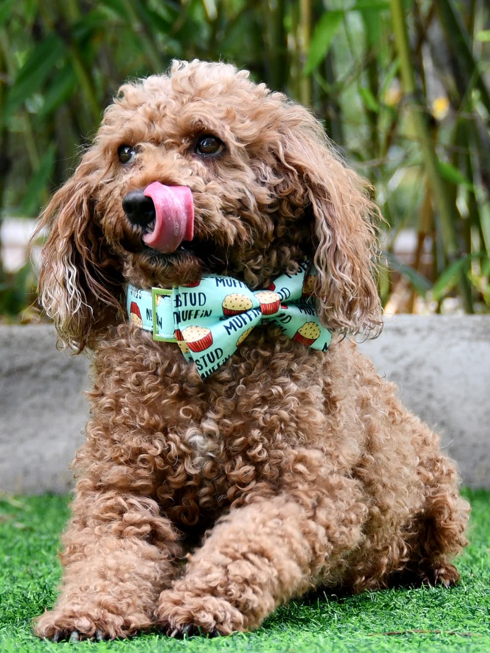 JIUJIA Stud Muffin Dog Bow Tie Collar - Adjustable Cotton Accessory for Small to Large Dogs (L 15-24")