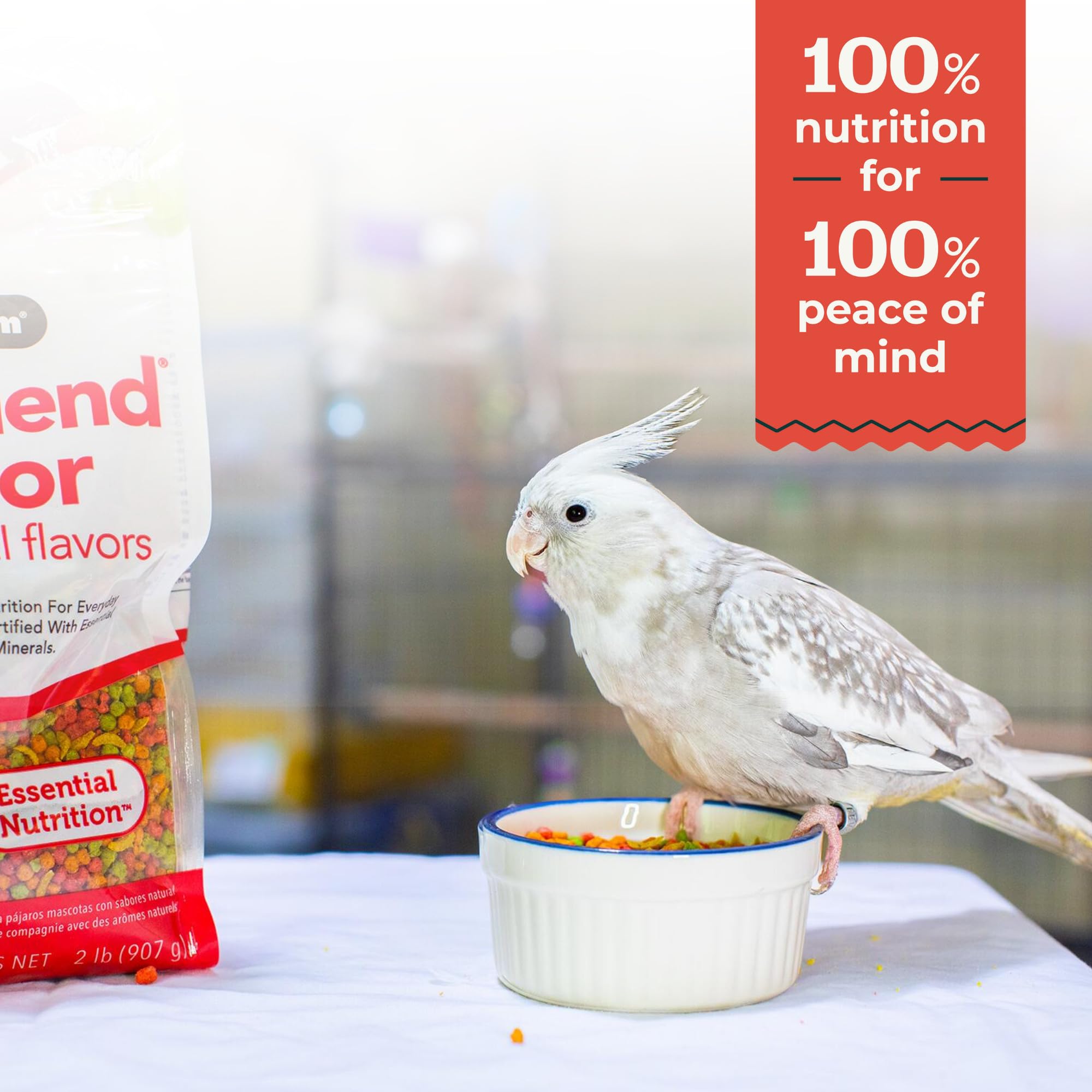 ZuPreem FruitBlend Flavor with Natural Flavors - Daily Bird Food For Medium Birds - 2 lb