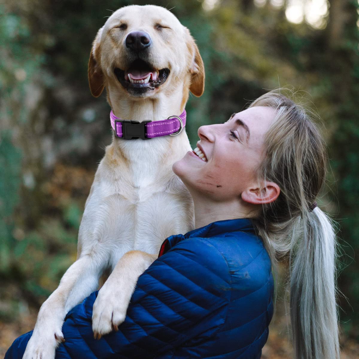 Rebnihc Reflective Dog Collar With Soft Neoprene Padded, Adjustable Nylon Dog Collar For Medium Dogs, Purple, M(3/4'' Wide, Neck 14''-21'')