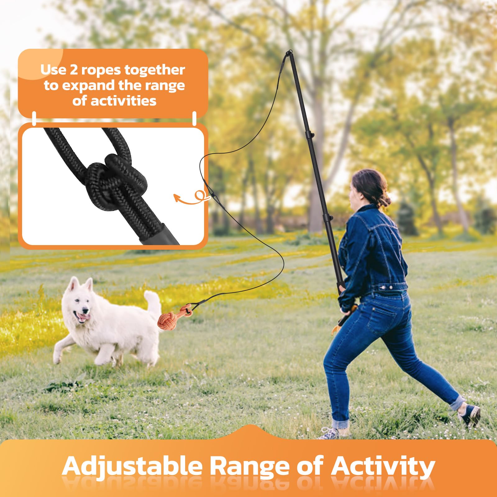 LOOBANI Flirt Pole for Dogs - Chase & Tug of War, Interactive Toys & Extendable Teaser Wand for Small Dogs Training & Exercise