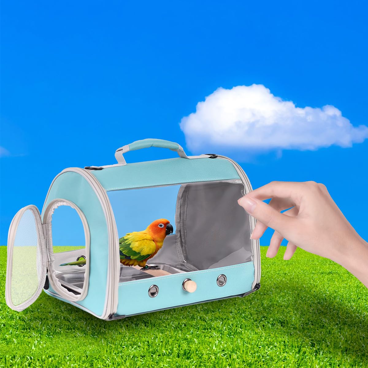 Long Tail Portable Bird Travel Carrier Cage with Metal Tray Soft Mat and Wooden Standing Perch, Hands Free Lightweight Clear 2 W