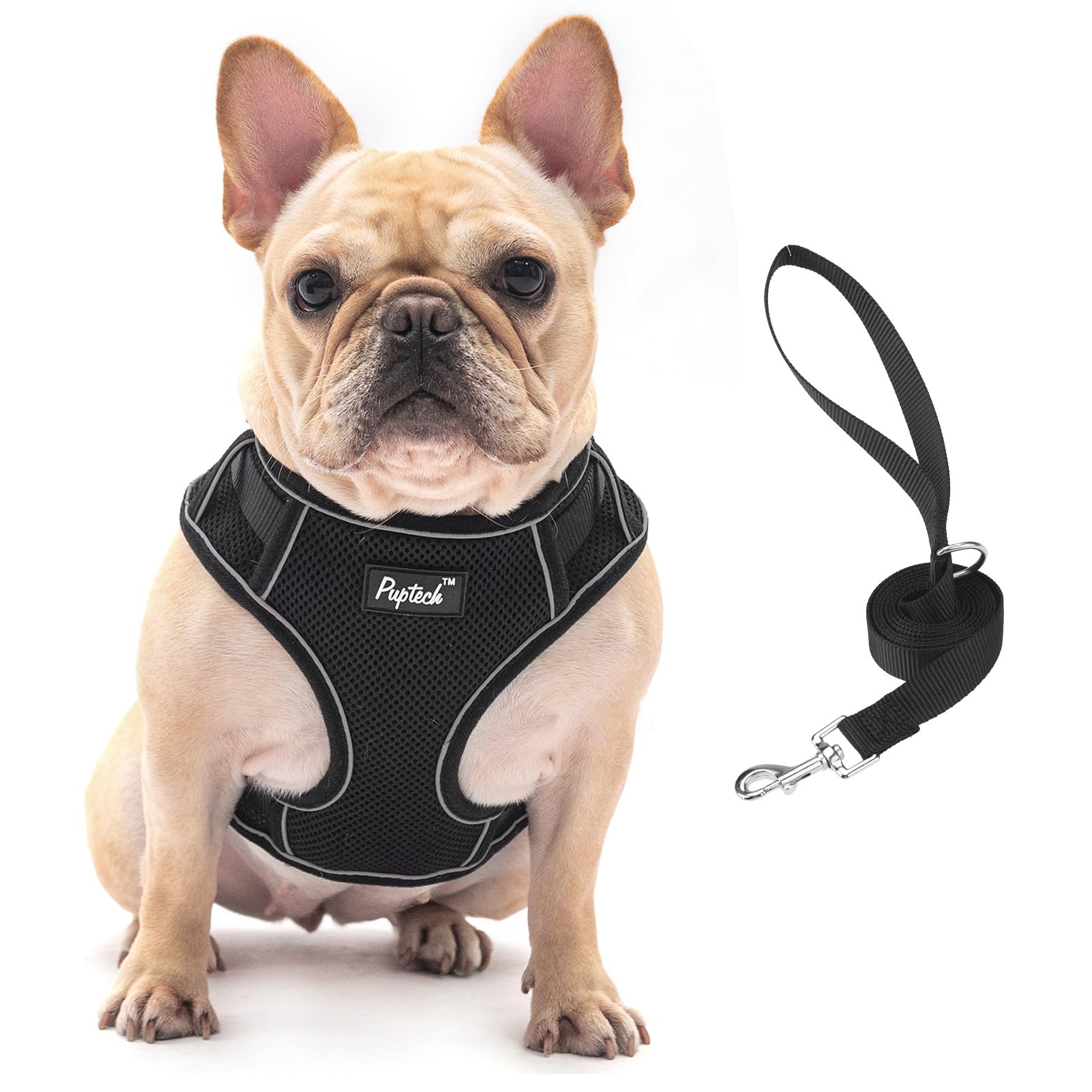 Pupteck Dog Harness And Leash Set For Small Medium Dogs No Pull, Soft Mesh Adjustable Puppy Cat Harness Reflective At Night, Bla