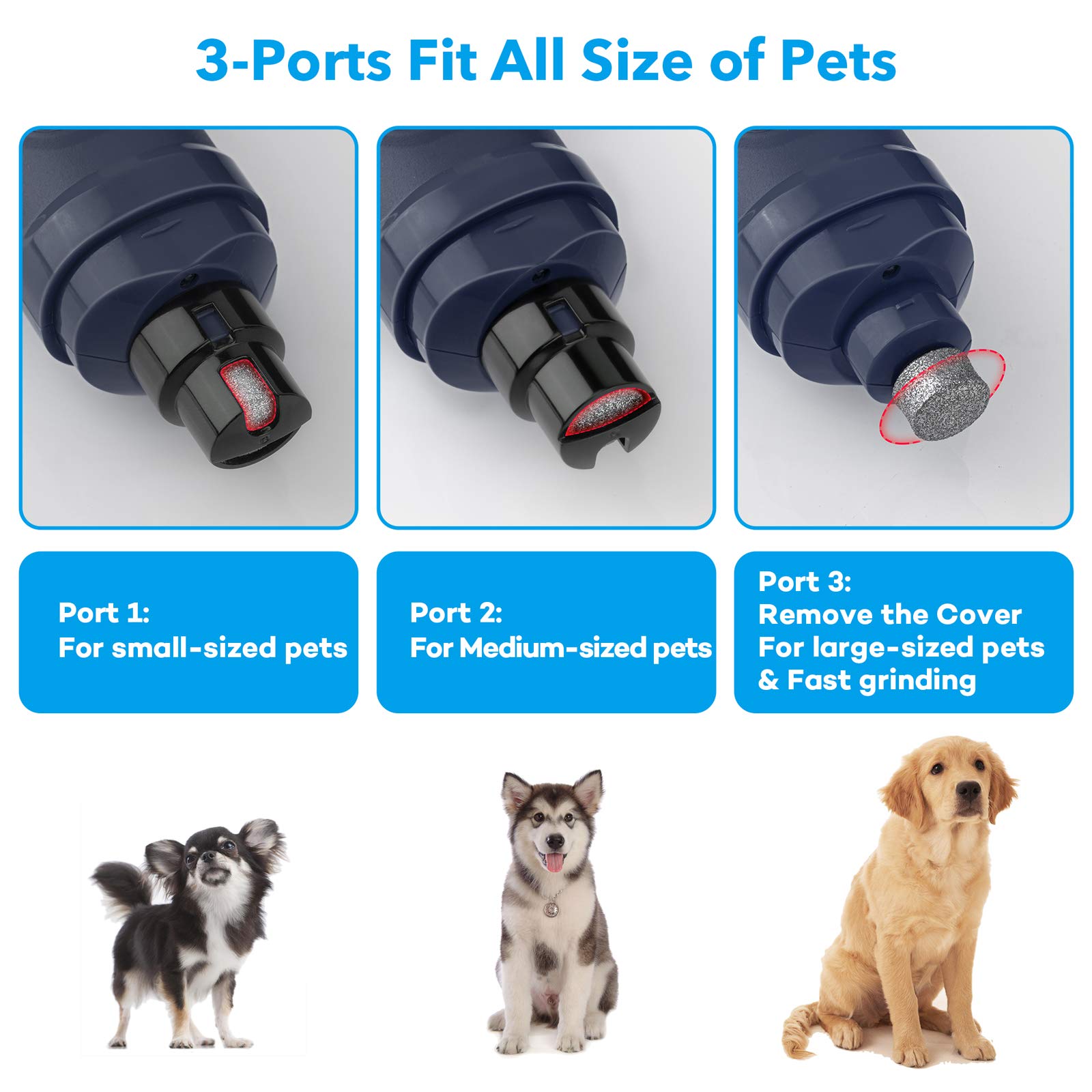 Casfuy Dog Nail Grinder With 2 Led Light - New Version 2-Speed Powerful Electric Pet Nail Trimmer Professional Quiet Painless Paws Grooming & Smoothing For Small Medium Large Dogs And Cats (Blue)