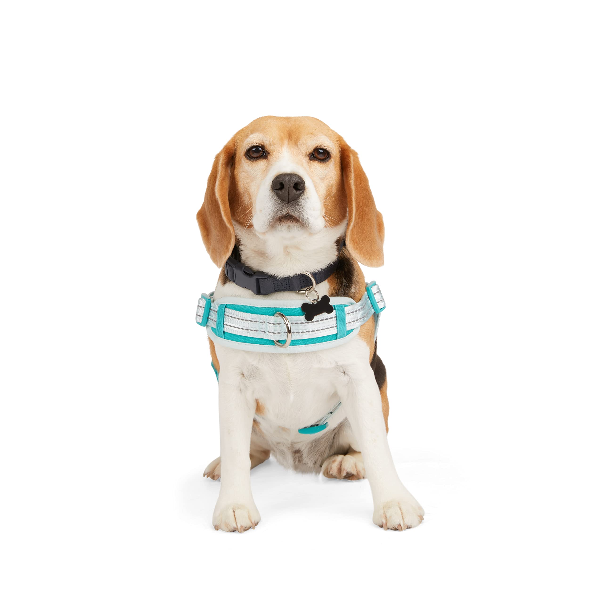 Everyyay Easy On Training Dog Harness Blue Small