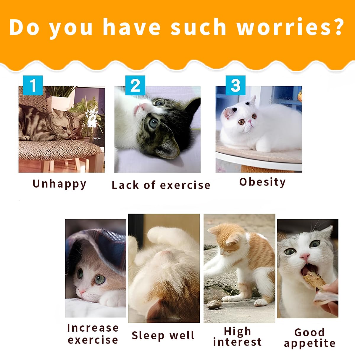 Suswim Cat Tunnel,Pet Cat Tunnels For Indoor Cats Large,Collapsible Cat Tunnel Maze Toy Shape S,Rainbow Colors.