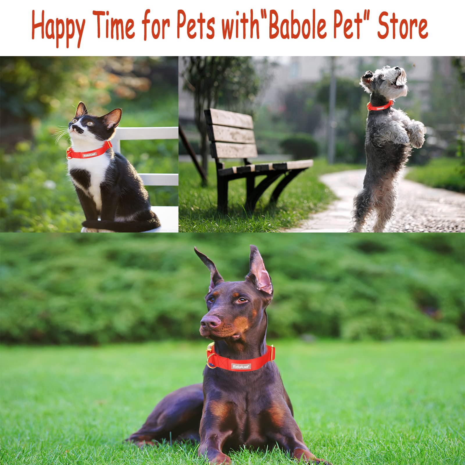 Babole Nylon Dog Collars Red For Small Puppy Dog,13 Colors,Adjustable Soft Comfortable Pet Collars With Safety Metal Buckle For Medium Large Boy&Girl&Female Dog(S)