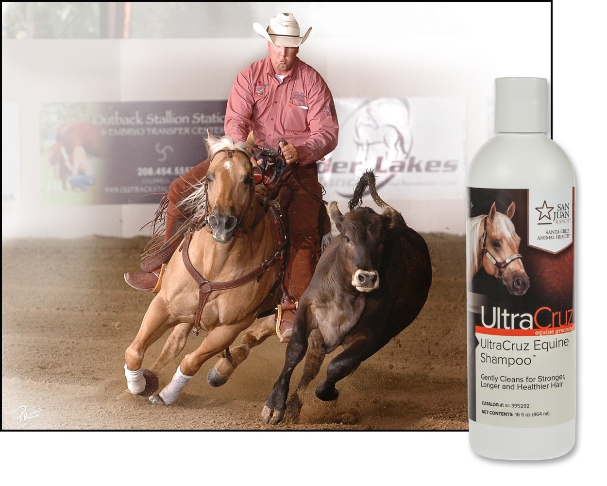 Ultracruz - Sc-395292 Equine Horse Shampoo, 16 Oz