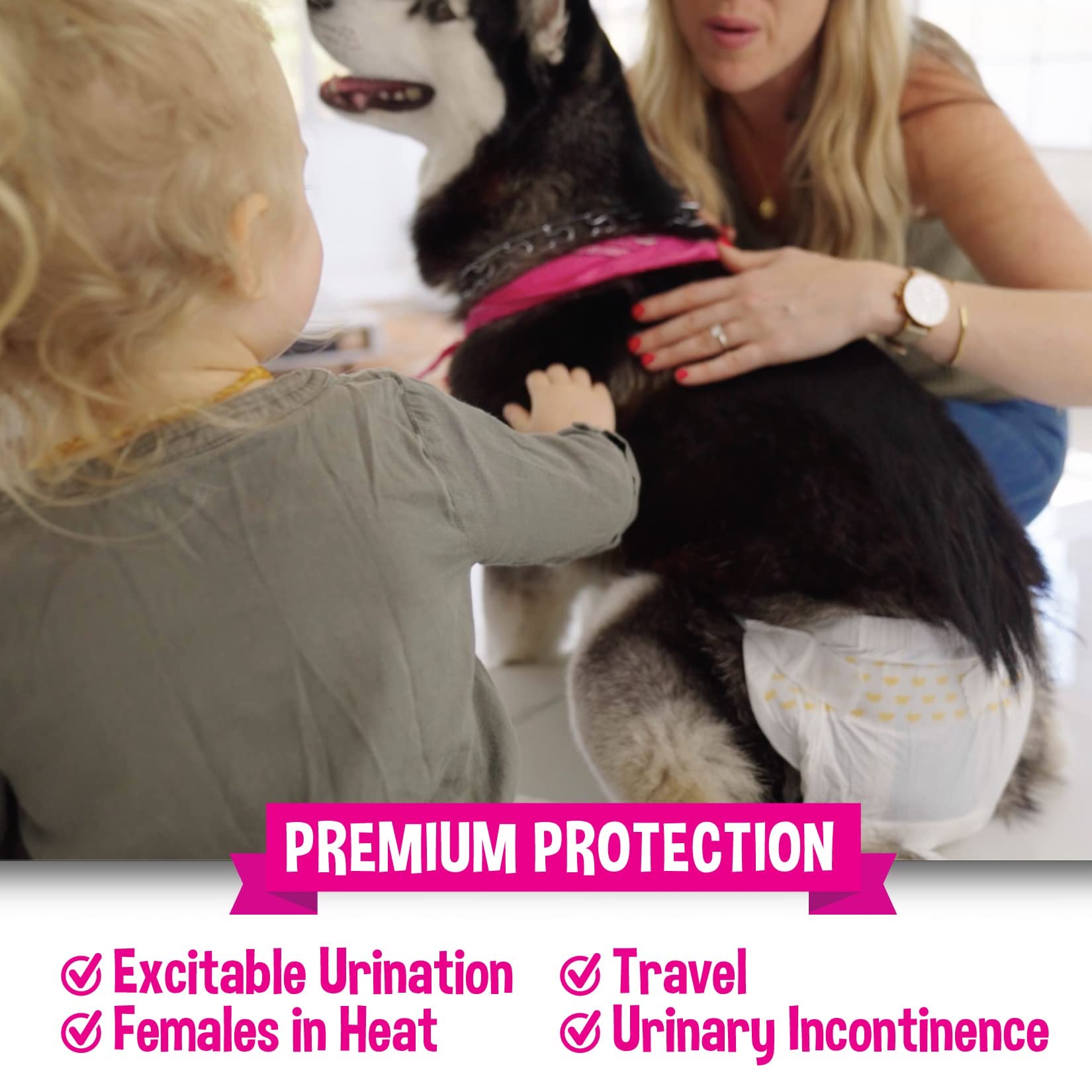 Bodhi Dog Disposable Female Dog Diapers - Super Absorbent Dog Diapers for Female Heat Cycle - Adjustable Fit Pee Wraps for Potty