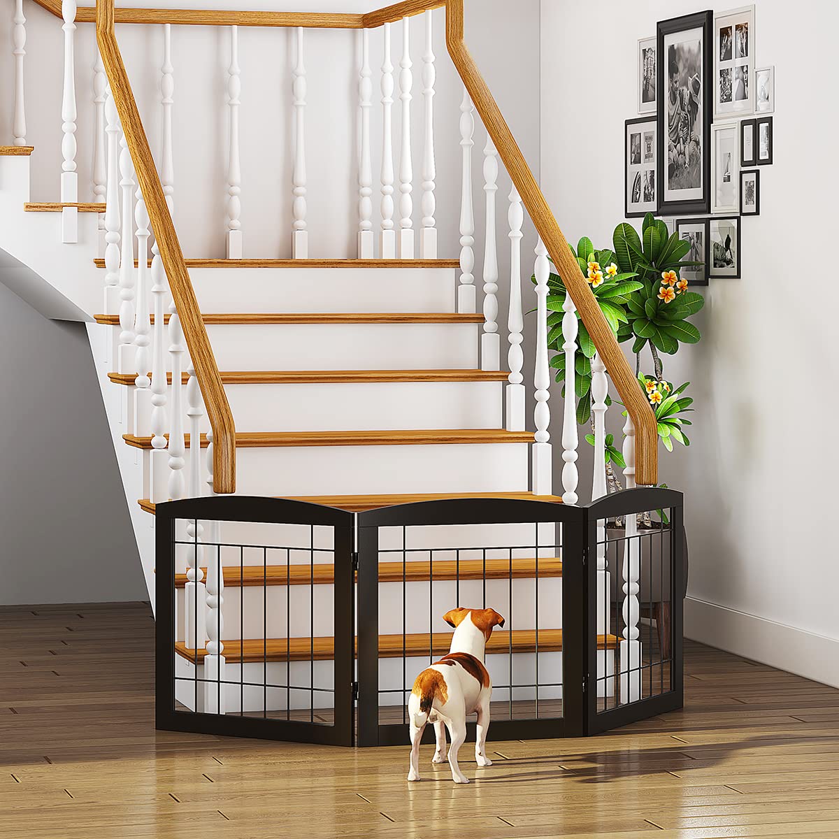 Pawland Wire Free Standing Pet Gate For Dogs, Foldable Dog Gate For The House Indoor, Step Over Pet Puppy Safety Fence, Doorway, Stairs, 80 Inch Wide, 24' Height 3 Panels, Espresso