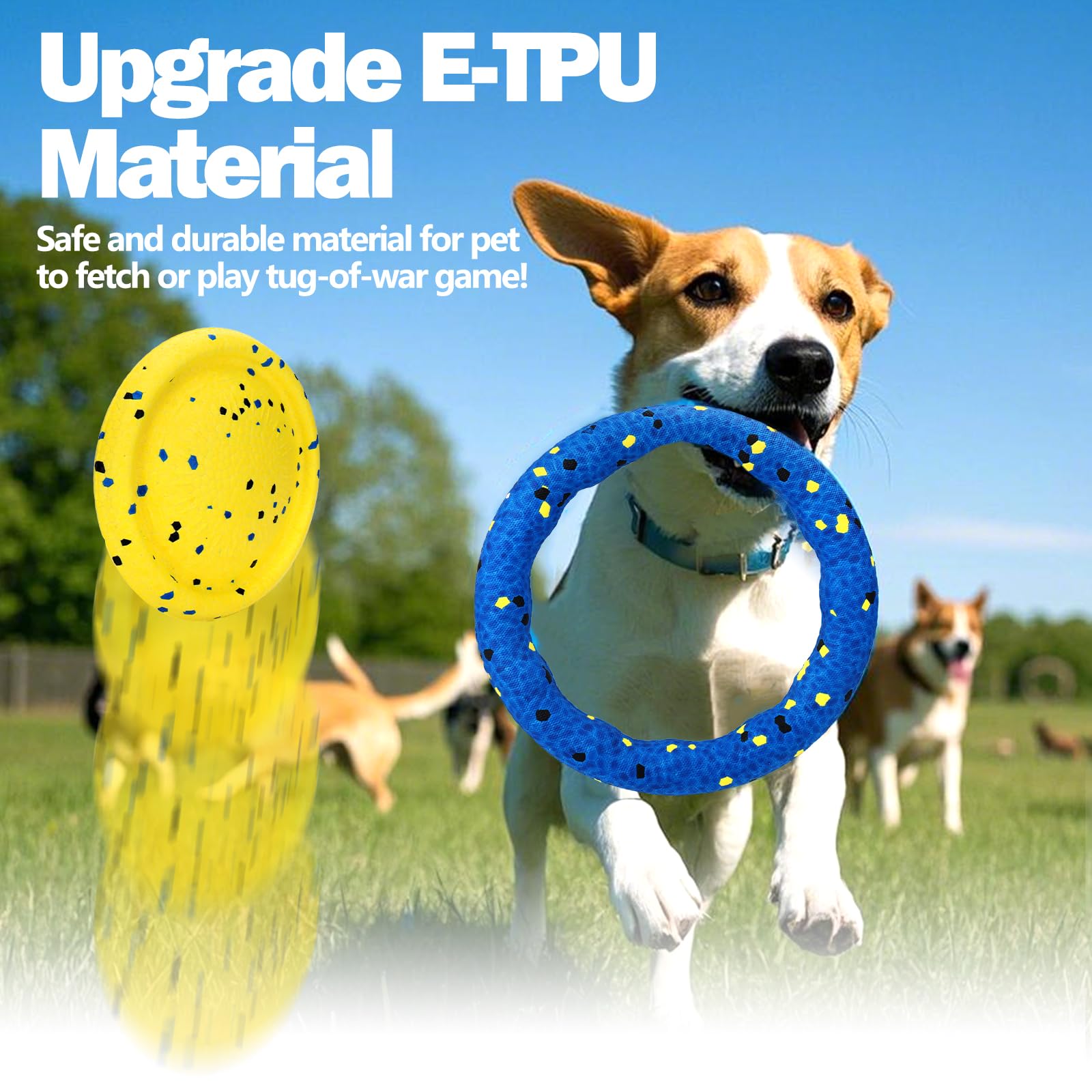 Floating Dog Toys -E-Tpu Water Pool Fetching Toy With Rope For Small Medium Large Pet, Ring And Plate Shape Indestructible Inter