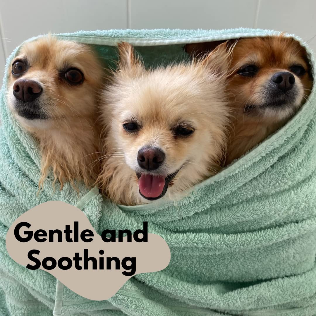 Washbar Natural Dog Soap Bar - Natural Dog Shampoo Bar And Dog Shampoo For Smelly Dogs With Sensitive Skin, Easier To Use Than Liquid Pet Shampoo With No Plastic Bottle Waste, 2-Pack