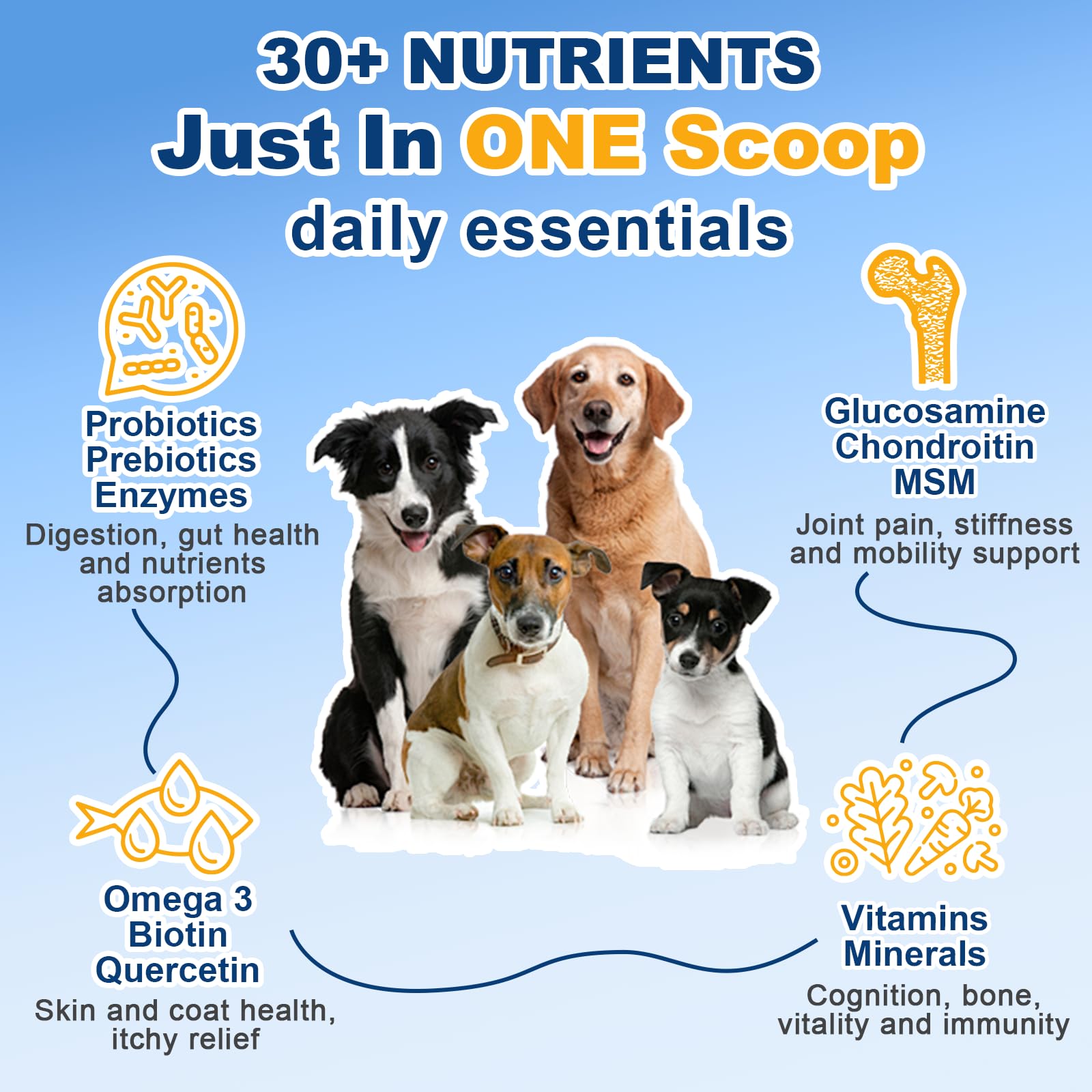 Dog Vitamins, Dog Multivitamin Powder, with Probiotics, Glucosamine, Omega 3, Support Gut, Joint & Mobility, Itch Skin & Coat, M