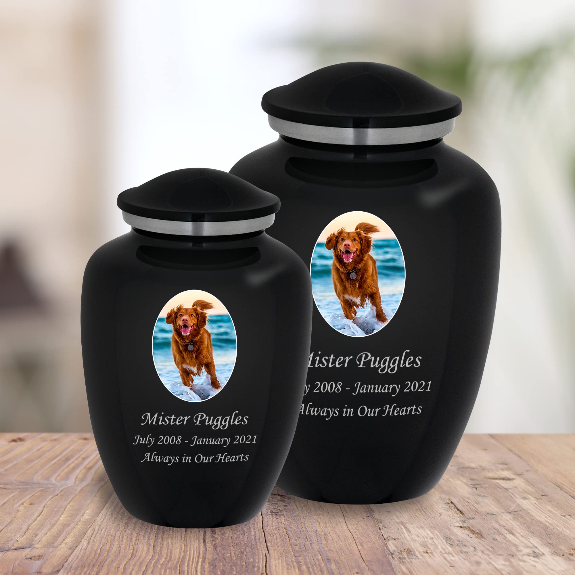 Mainely Urns Homage Medium Custom Photo Cremation Urn - Vase Style Pet Ashes Urn - 80 Cubic Inch Capacity - Personalization Incl