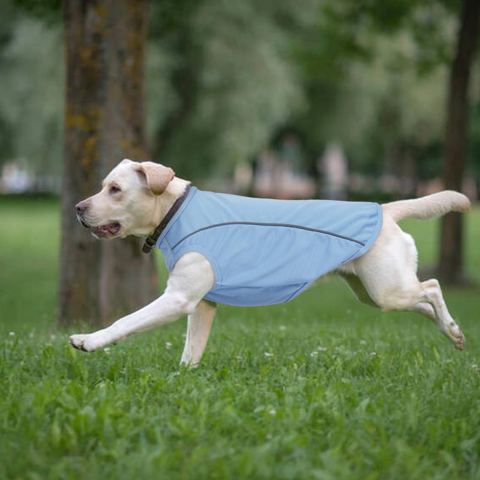 T'Chaque Dog Shirts For Medium Dogs 2 Pack, M Dog Sleeveless Vests With Reflective Strips, Pullover T-Shirts Lightweight Puppy T