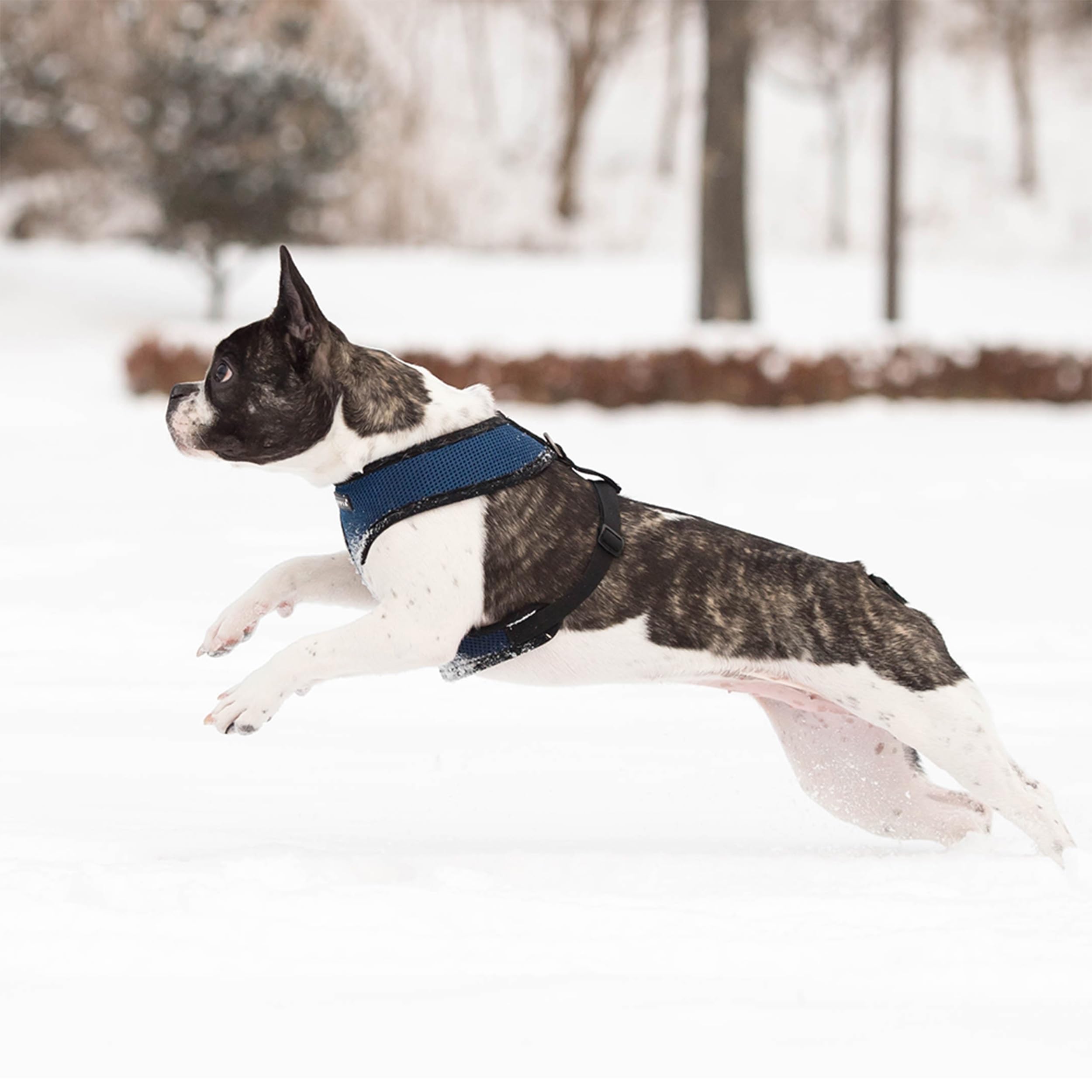 Puppia Soft Dog Harness No Choke Over-The-Head Triple Layered Breathable Mesh Adjustable Chest Belt And Quick-Release Buckle, Royal Blue, X-Large