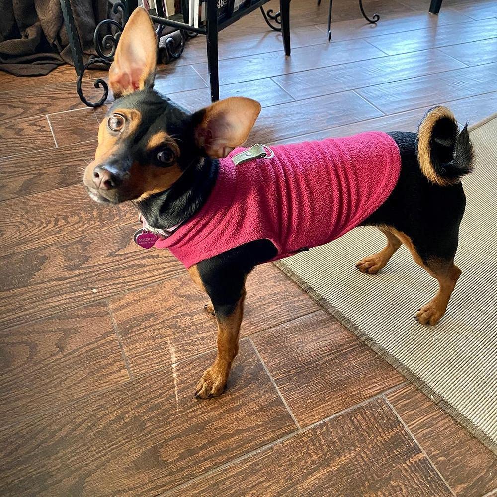 Gooby Fleece Vest Dog Sweater - Fuchsia, Medium - Warm Pullover Fleece Dog Jacket With O-Ring Leash - Winter Small Dog Sweater Coat - Cold Weather Dog Clothes For Small Dogs Boy Or Girl