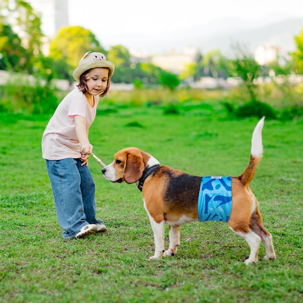 Micooyo Belly Bands For Male Dogs, 3 Pack Reusable Dog Diapers Male For Puppy Doggie, Washable Male Dog Wraps (M, Rainforest)