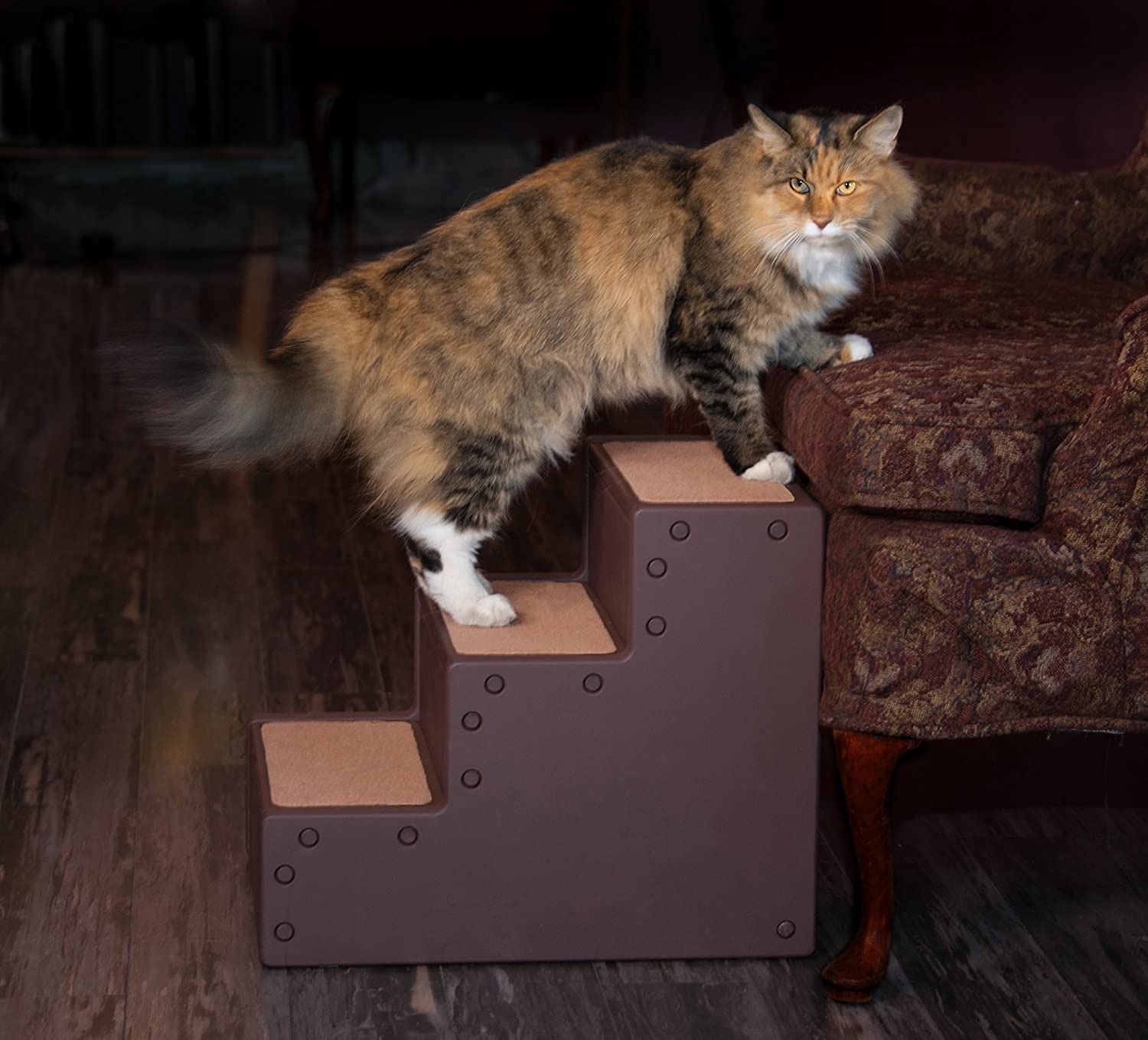 Pet Gear Pet Step Iii Pet Stairs For Small Dogs And Cats Up To 50 Pounds, Lightweight, No Tools Required