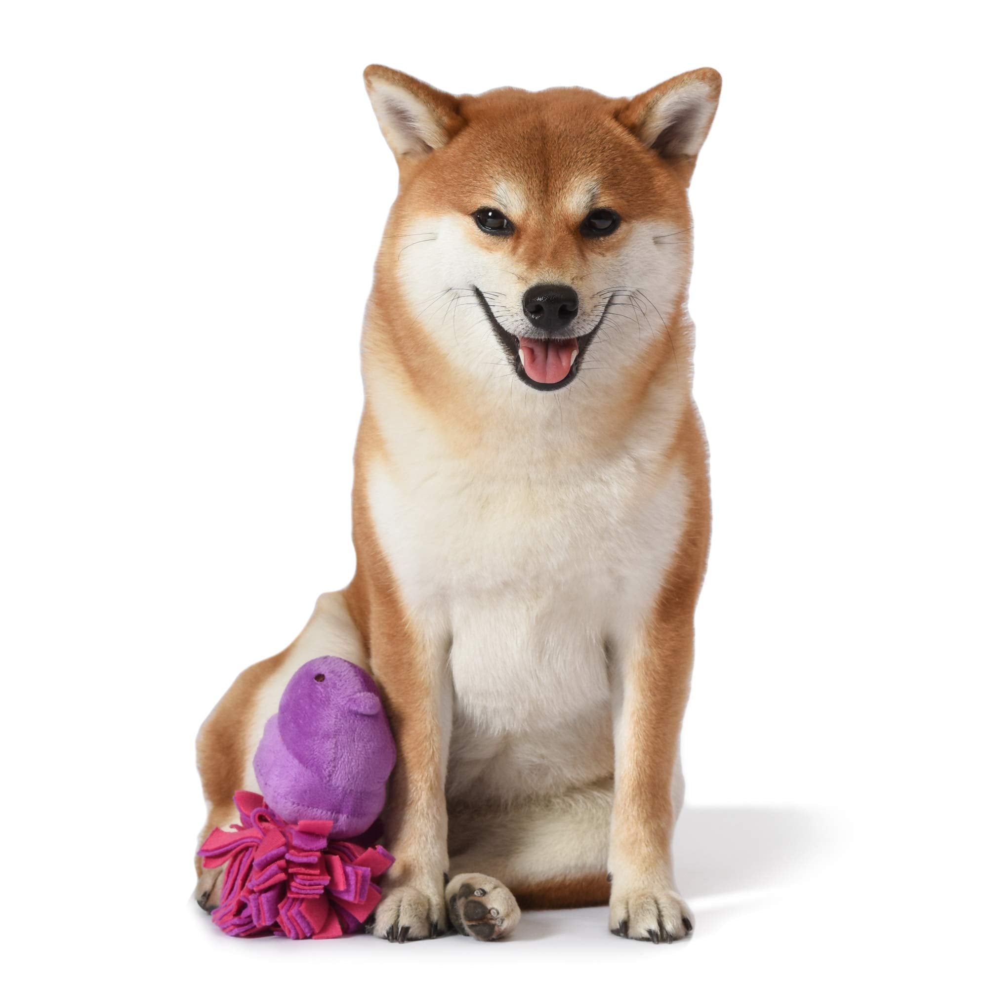 Peeps for Pets Plush Chick Fleece Bottom Dog Toy in Purple and Pink Purple Peeps Chick Dog Toys, Small Plush Dog Toys with Squea