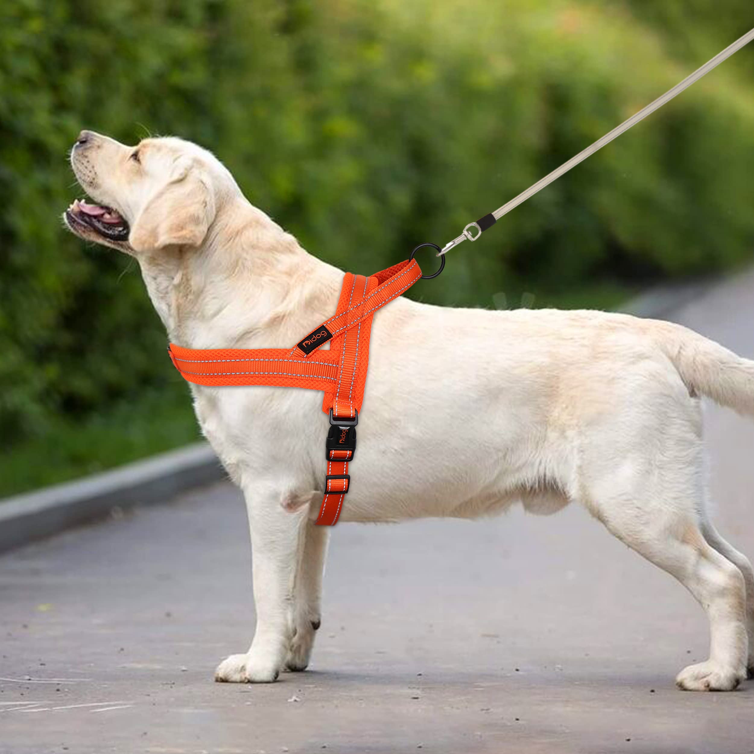 Didog Mesh Flannel Padded Dog Vest Harness, Escape Proof, Quick Fit, Size M (Chest 21-26"), Orange