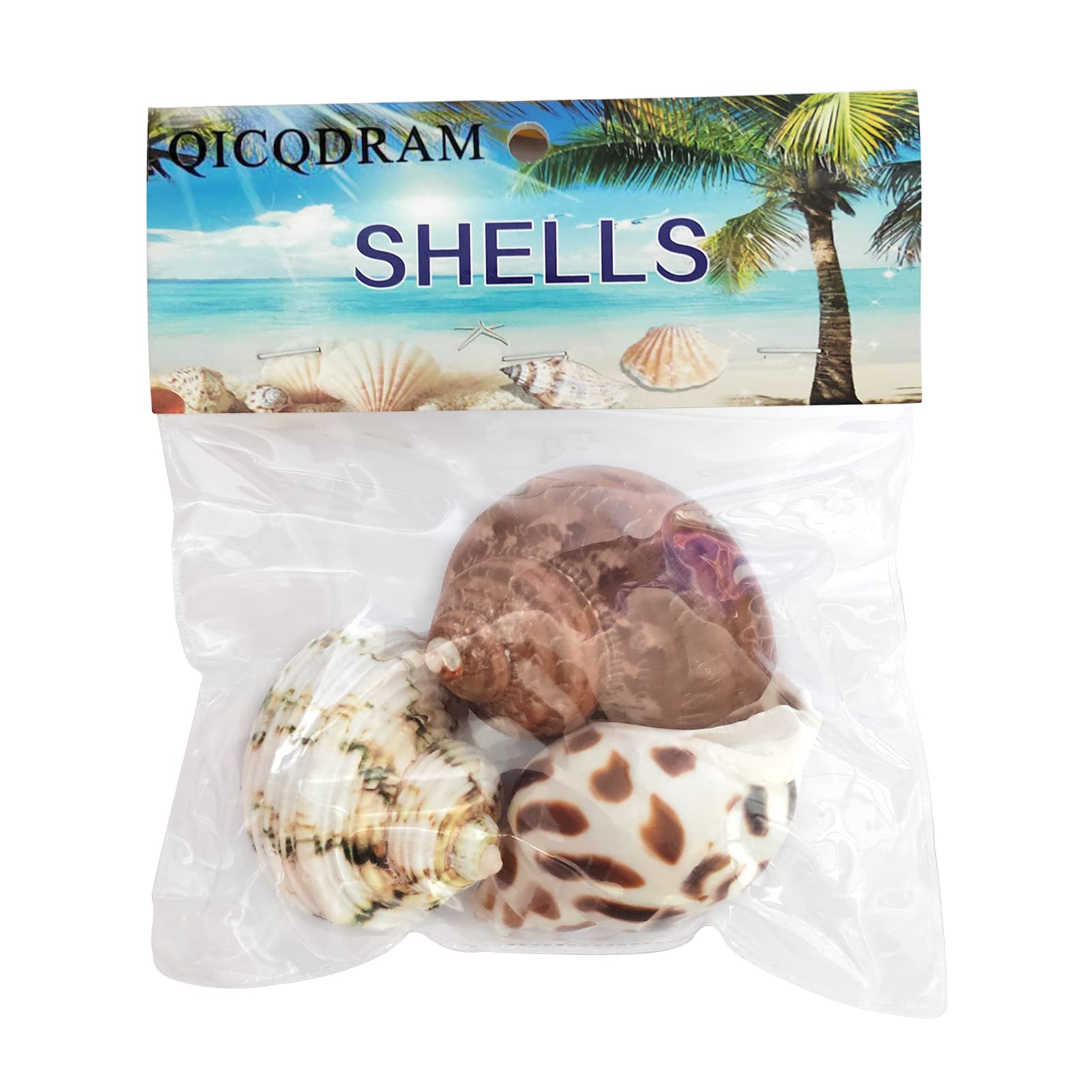 3 Pcs Hermit Crab Shells 2~2.7Inch Natural Hermit Crab Shells Opening Size 1~1.3Inch Hermit Crab Supplies