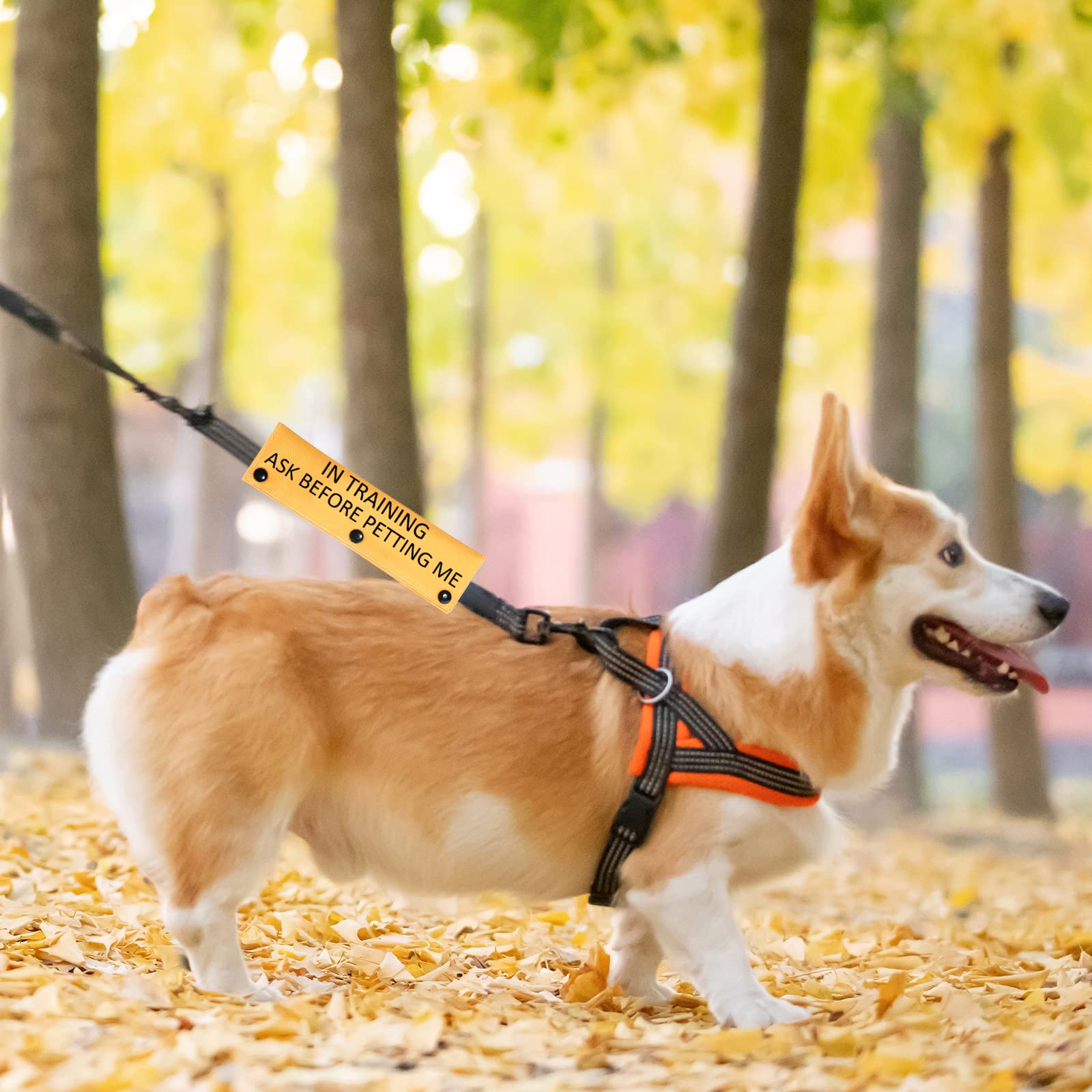 Pwhaoo In Training Dog Leash Sleeve Ask To Pet Give Me Space Dog Leash Sleeve Working Dog Leash Wrap (Ask Before Petting Sleeve)