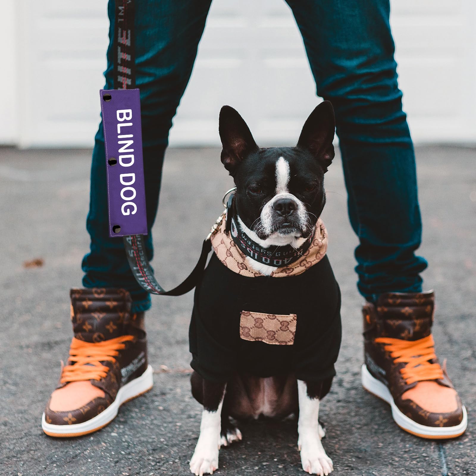 Blind Awareness Dog Leash Wrap Blind Dog Leash Sleeve Social Distancing Dog Patch (Blind Dog)