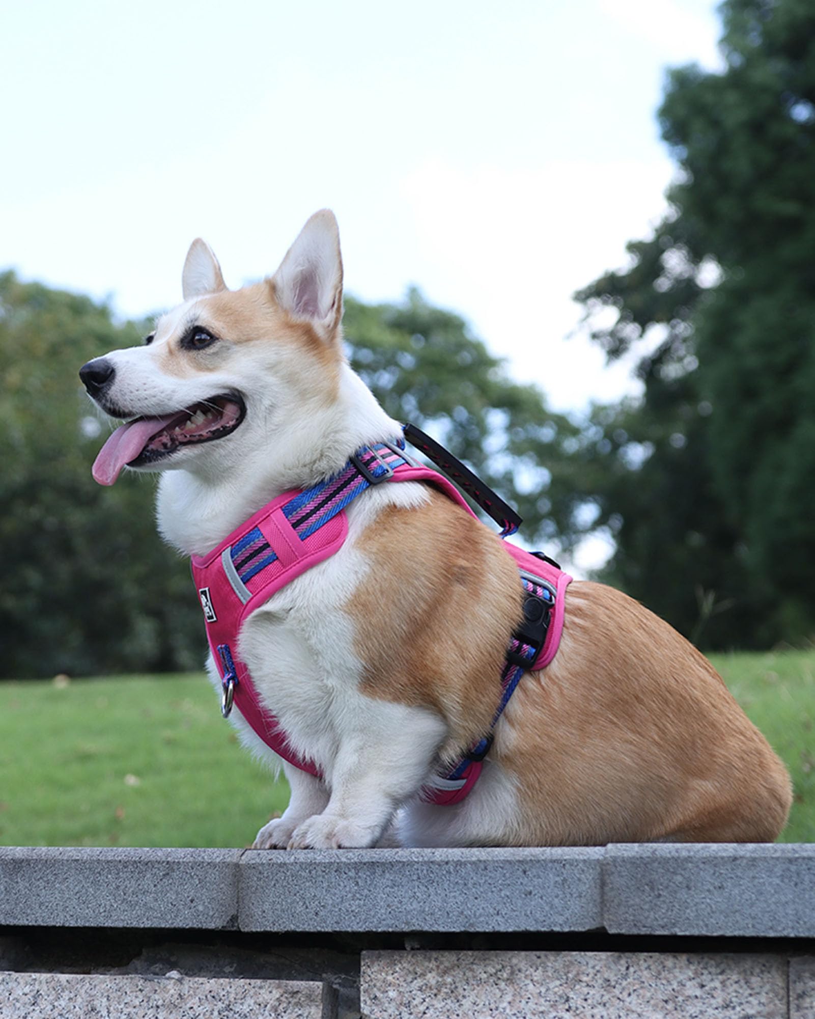 Jufoo No Pull Dog Harness With Easy Control Soft Handle For Small Medium Large Dogs,Reflective Adjustable Puppy Harness,Heavy Du