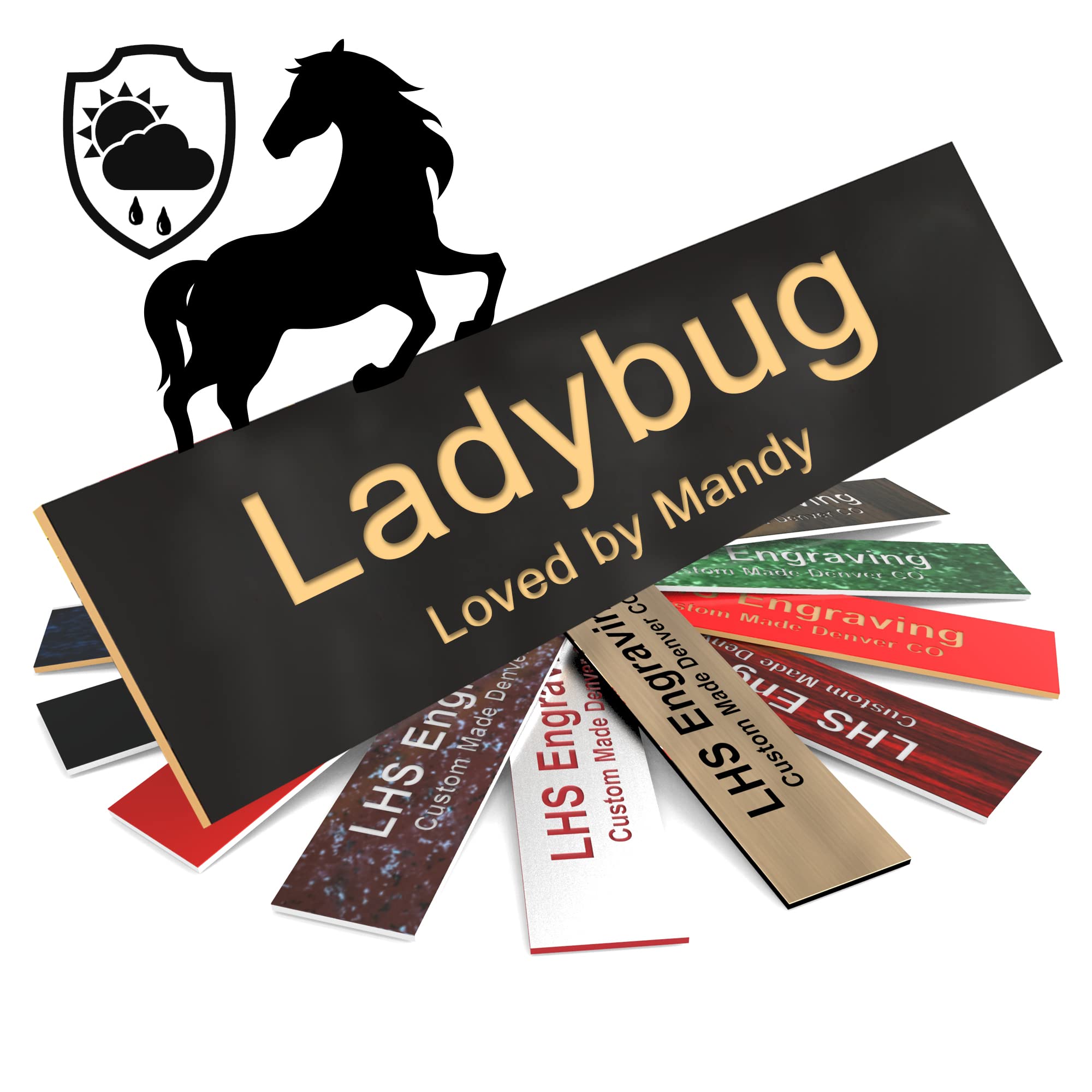 Lhs | Personalized Horse Stall Name Plates, 2X8 Horse Stall Signs With Adhesive, All Weather Uv Protected, Black Plastic Gold Le