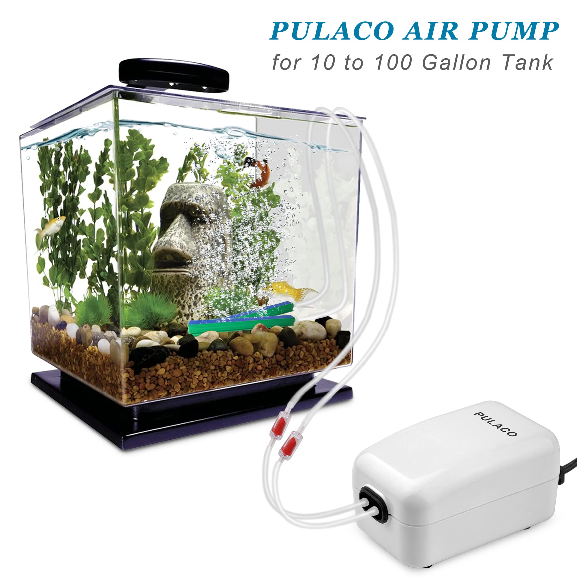 PULACO Dual Outlet Aquarium Air Pump - Quiet Oxygen Pump for 10-100 Gallon Tanks with Accessories, White