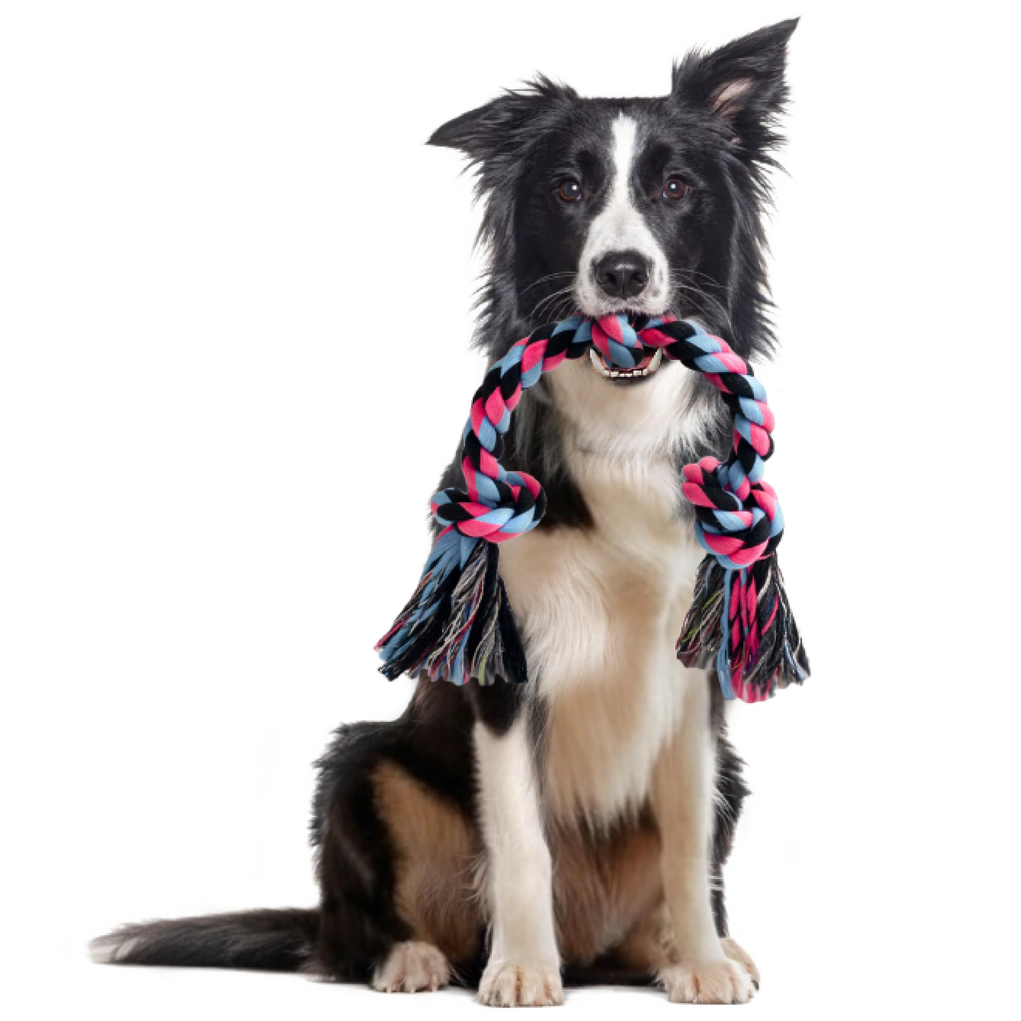 Sharlovy Dog Rope Toy For For Medium Dogs, Durable Cotton Dog Chew Toys For Aggressive Chewers, Interactive Tug Of War Dog Toys 