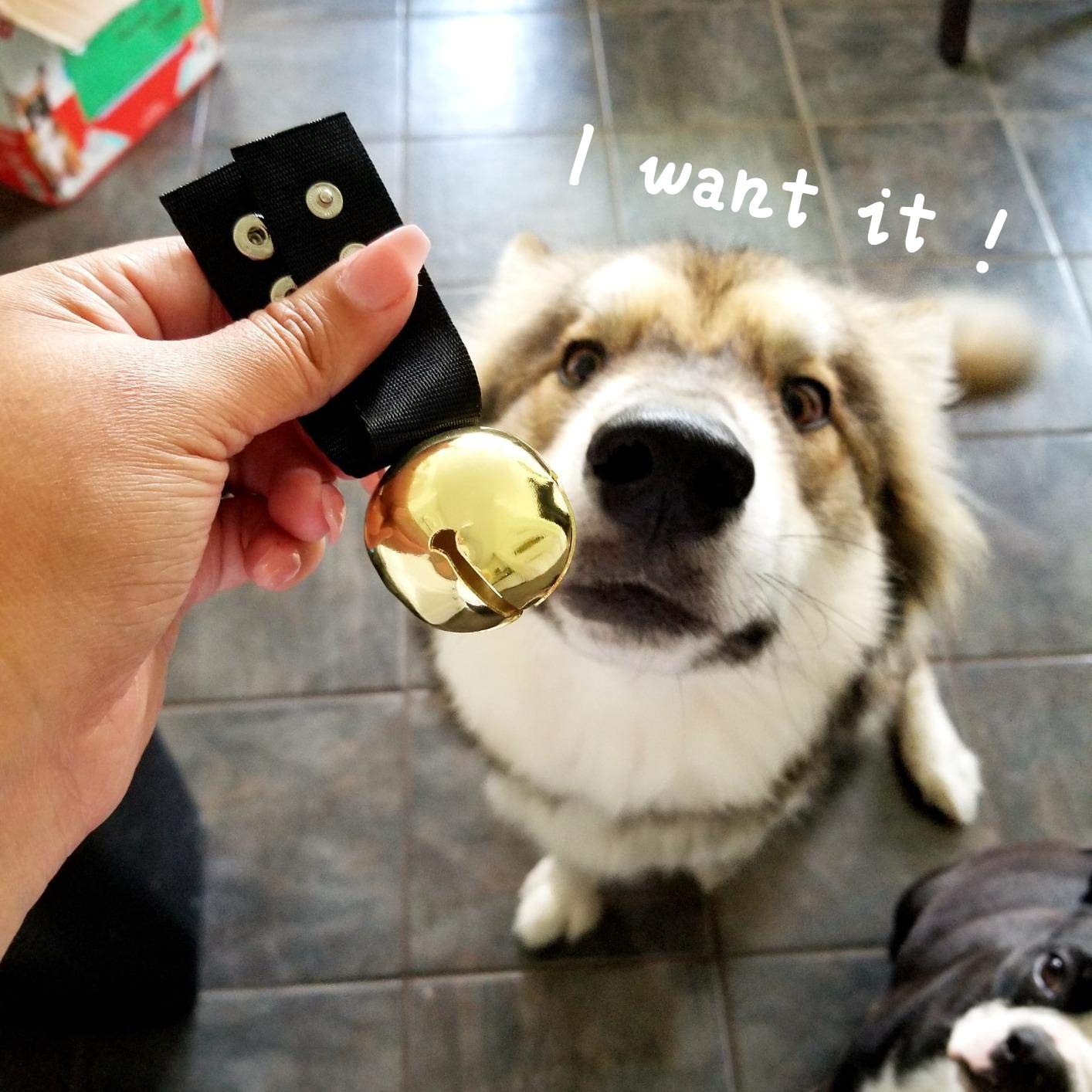 Scenereal Large Dog Collar Bell For Training, Hiking, Walking, Hunting, Pet Tracker, 2 Pack 1.5' Extra Loud Pet Bell For Save Wildlife And Birds (Bear Bell, Cow Bell) Gold | Silver