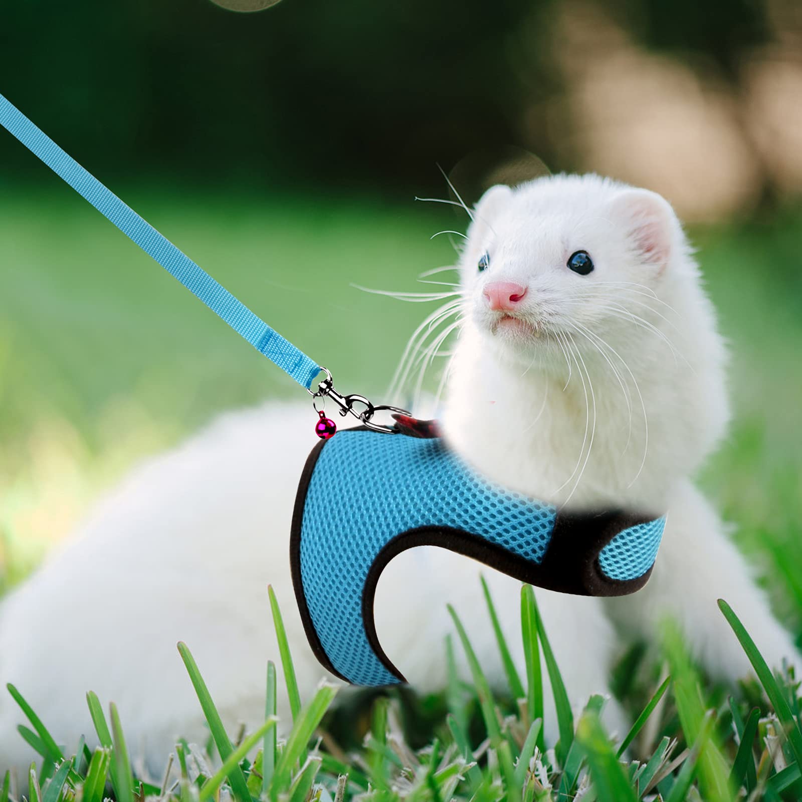 Rypet Small Animal Harness And Leash - Soft Mesh Small Pet Harness With Safe Bell, No Pull Comfort Padded Vest For Small Pet Blu