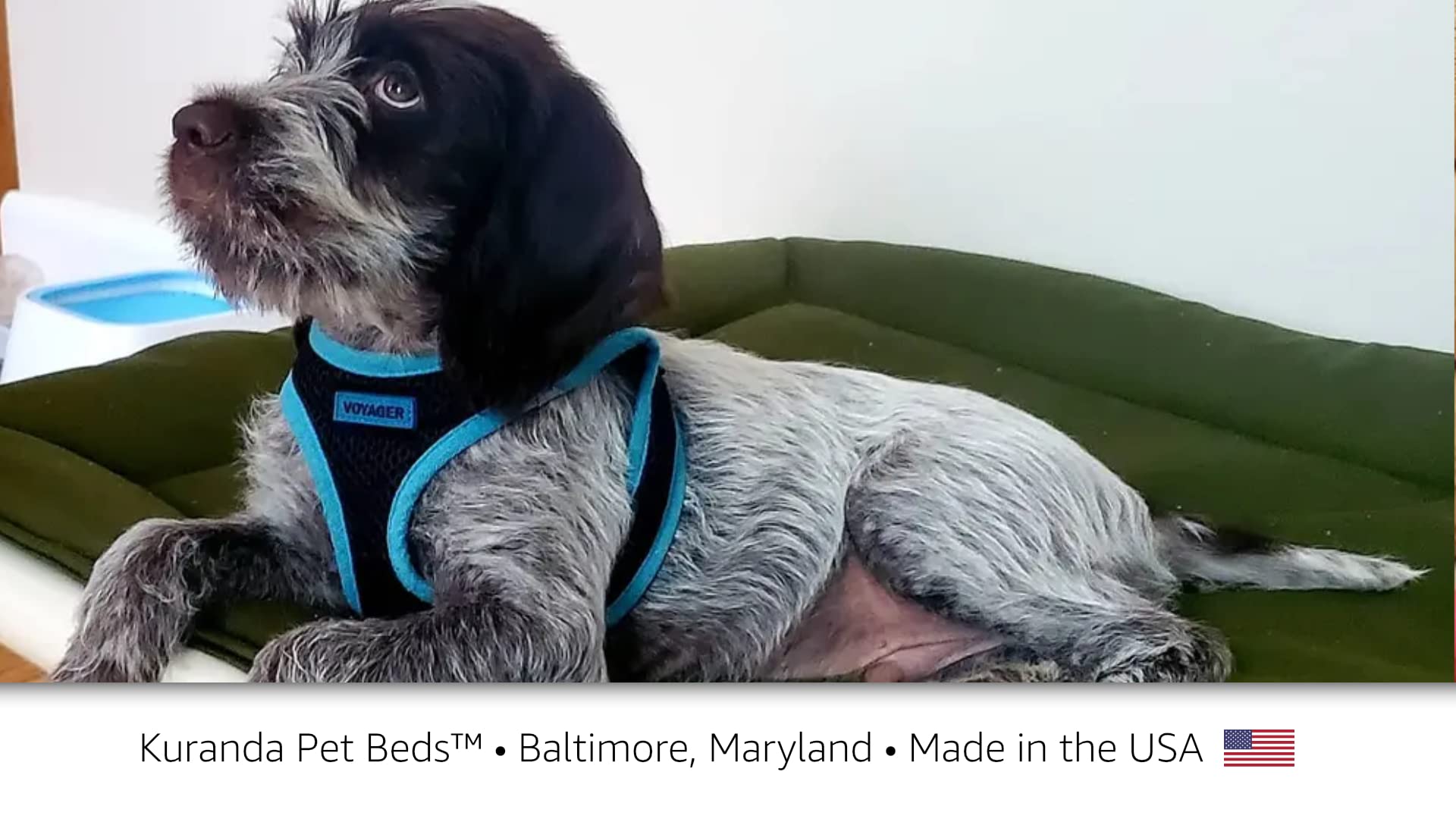 Kuranda Cordura Pad - Small - 30'' x 20'' - Moss