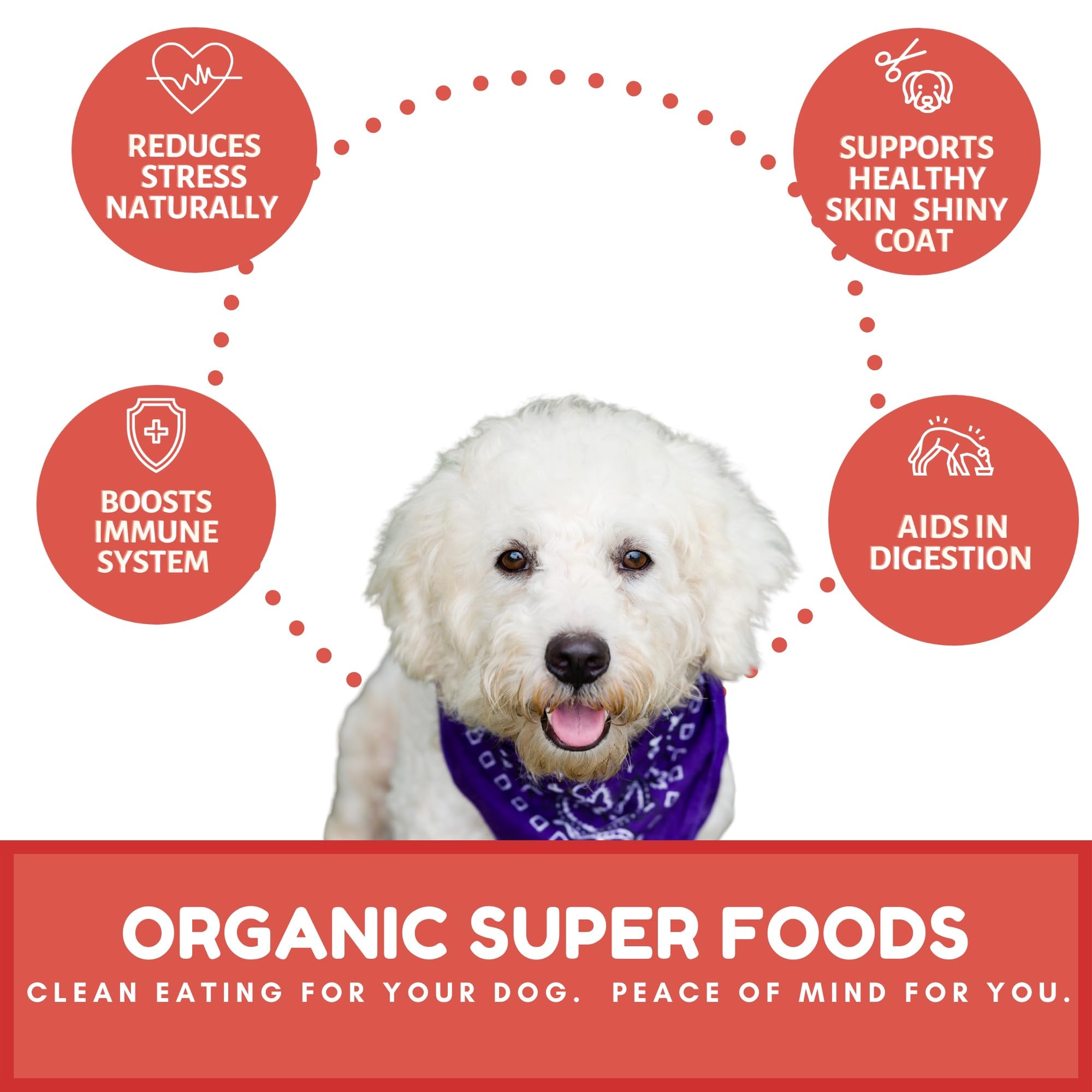 Dog Mammas Organic Apple Cranberry Recipe - Certified Organic Dog Treats 6 oz