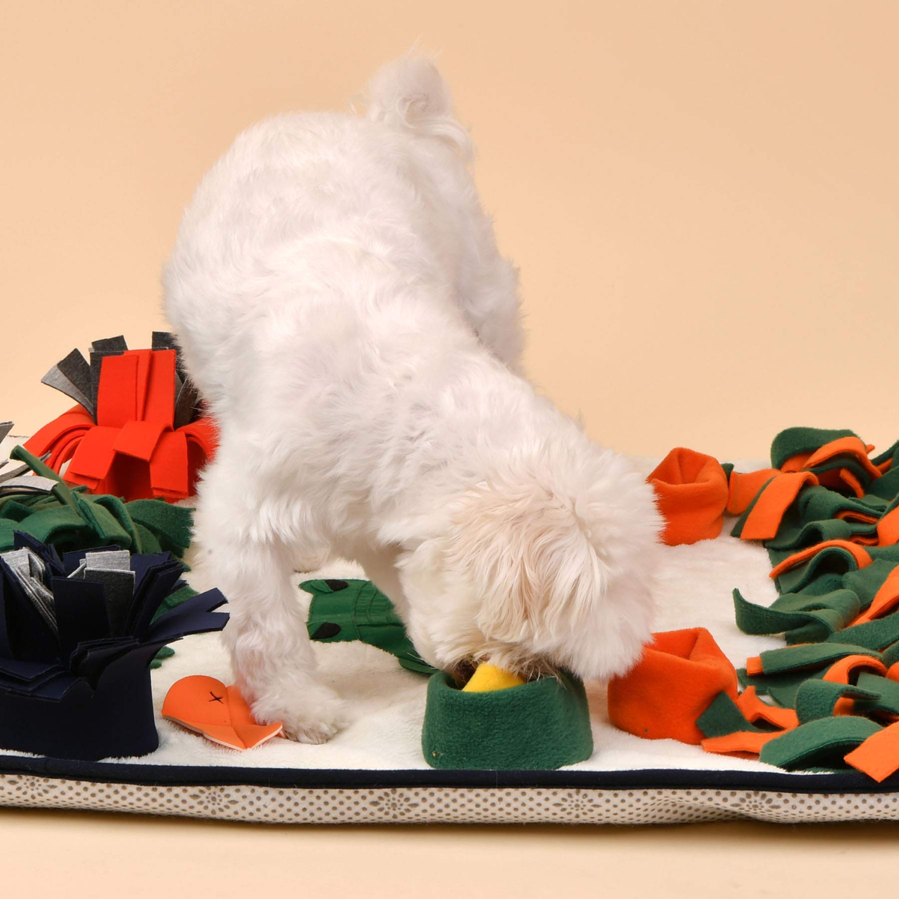 Puppia Swampy - Cream&Green - L, PAUD-NW1859-CE-L