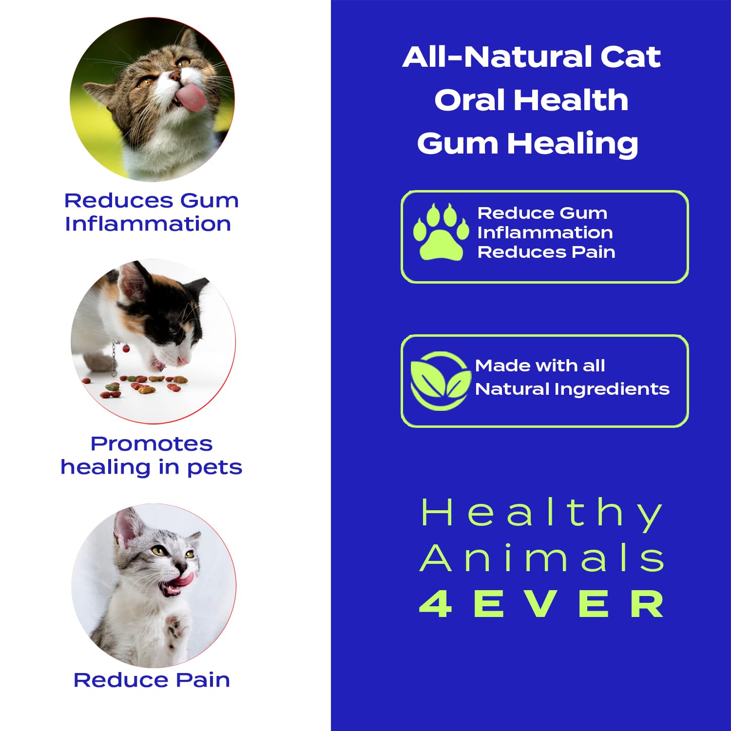 Healthy Animals 4 Ever Oral Health Gum Healing for Cats - Relieves Inflammation, Soothes Pain, Fights Gum Disease - Natural, Non