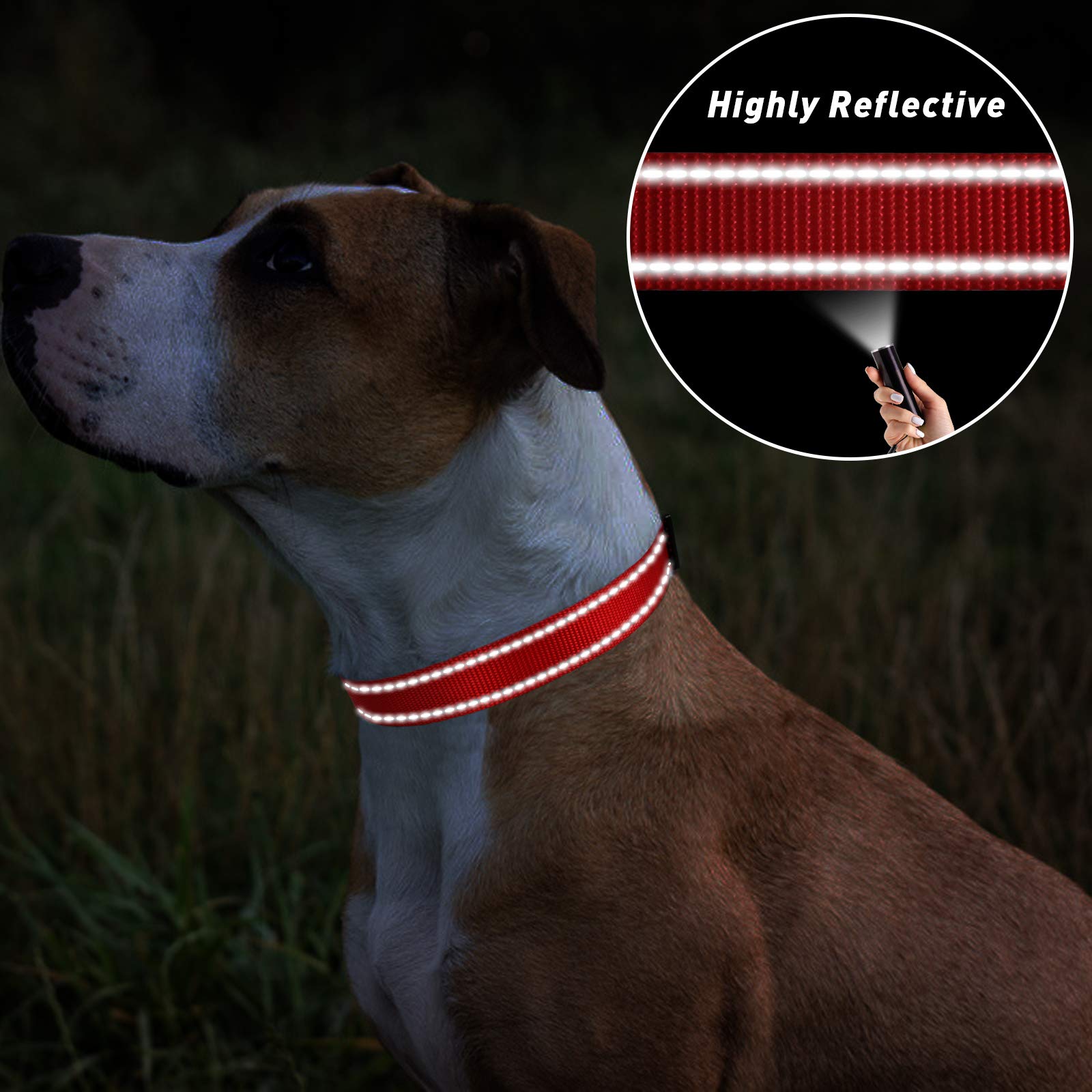 Tagme Reflective Nylon Dog Collars, Adjustable Classic Dog Collar With Quick Release Buckle For Extra Small Dogs, Red 5/8' Width