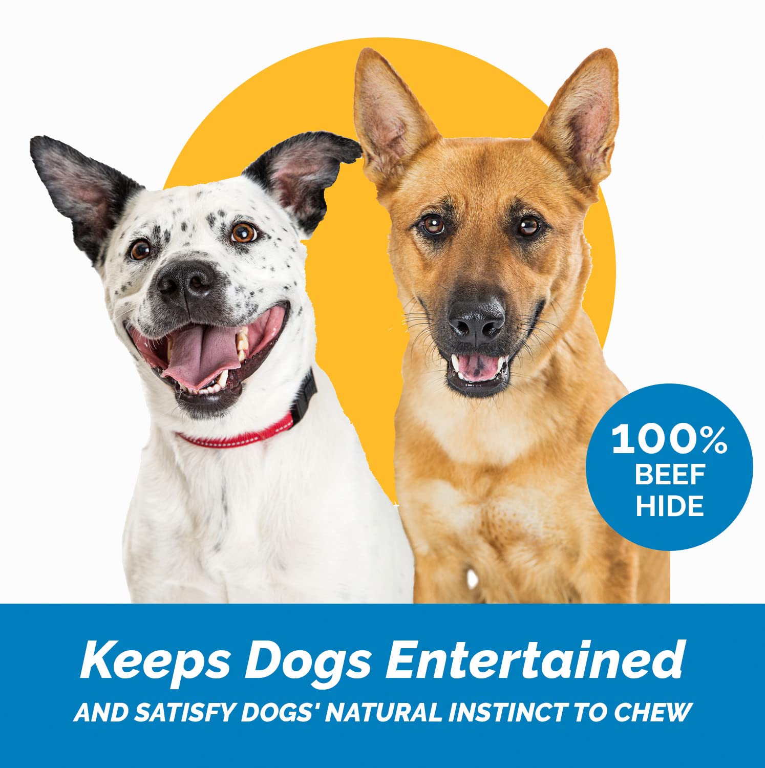 123 Treats Rawhide Bones for Dogs - 5-6 Inches (10 Count) Natural Raw Hide Bones, Long Lasting Medium & Large Dog Chews, Free Ra