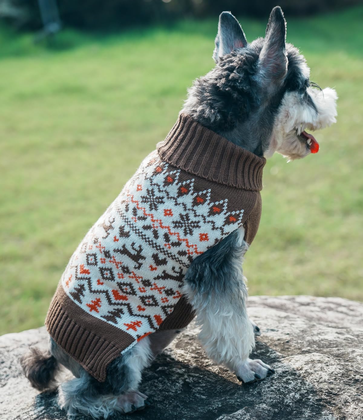 Turtleneck Ugly Knit Reindeer Holiday Christmas Dog Sweater For Small Dogs Holly Christmas Dog Clothes, Small (S) Back Length 12'