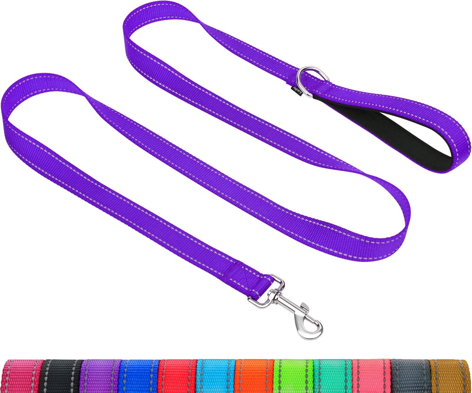 Taglory Nylon Dog Leash 6Ft, Soft Padded Handle Pet Reflective Leashes For Puppy Small Medium Dogs Walking & Training, Purple