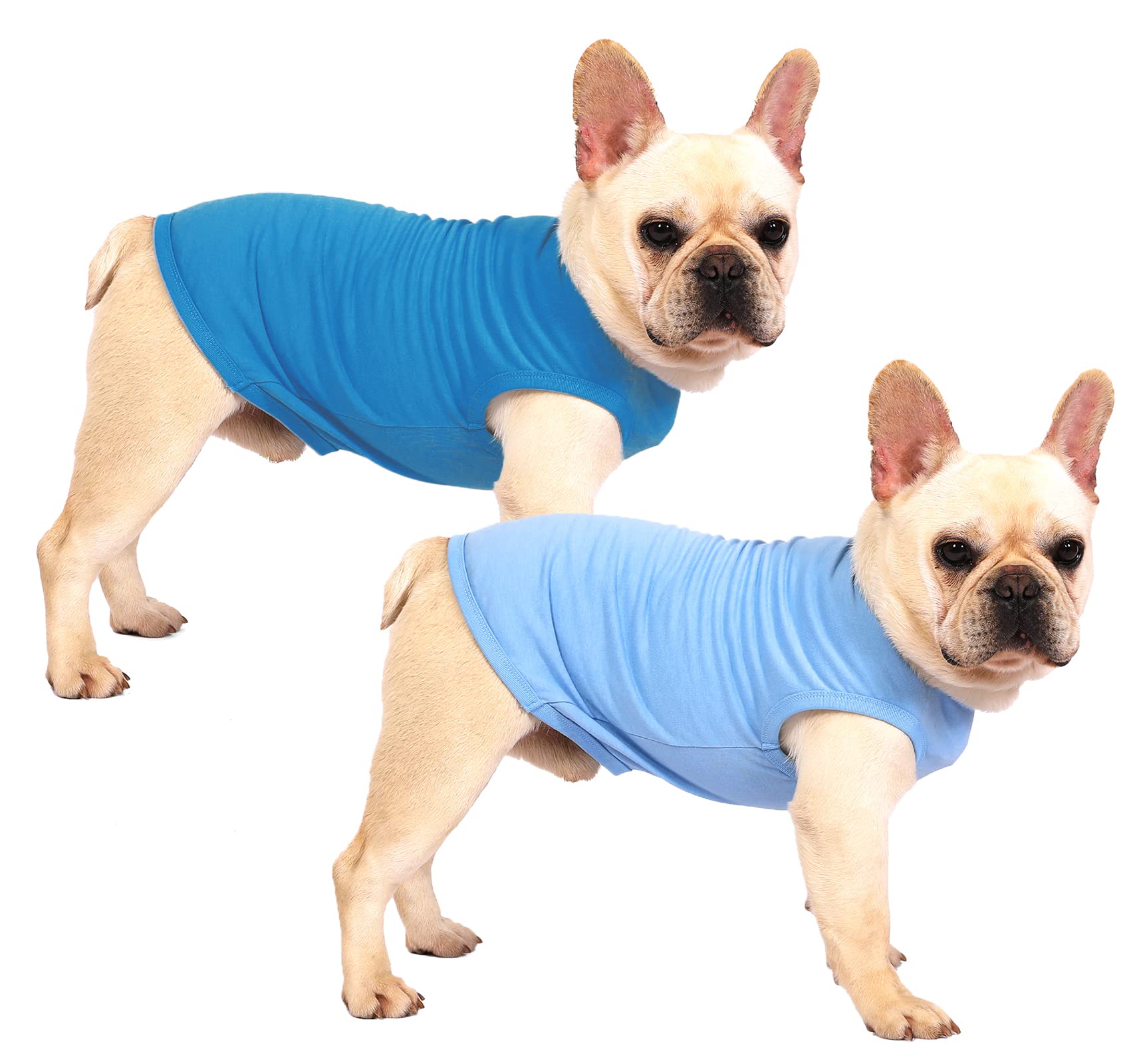 Sychien Dog Blank Blue Shirt,Boy Girl Dogs Large Tee Shirts,Plain French Bulldog T-Shirt,L Blue Royal
