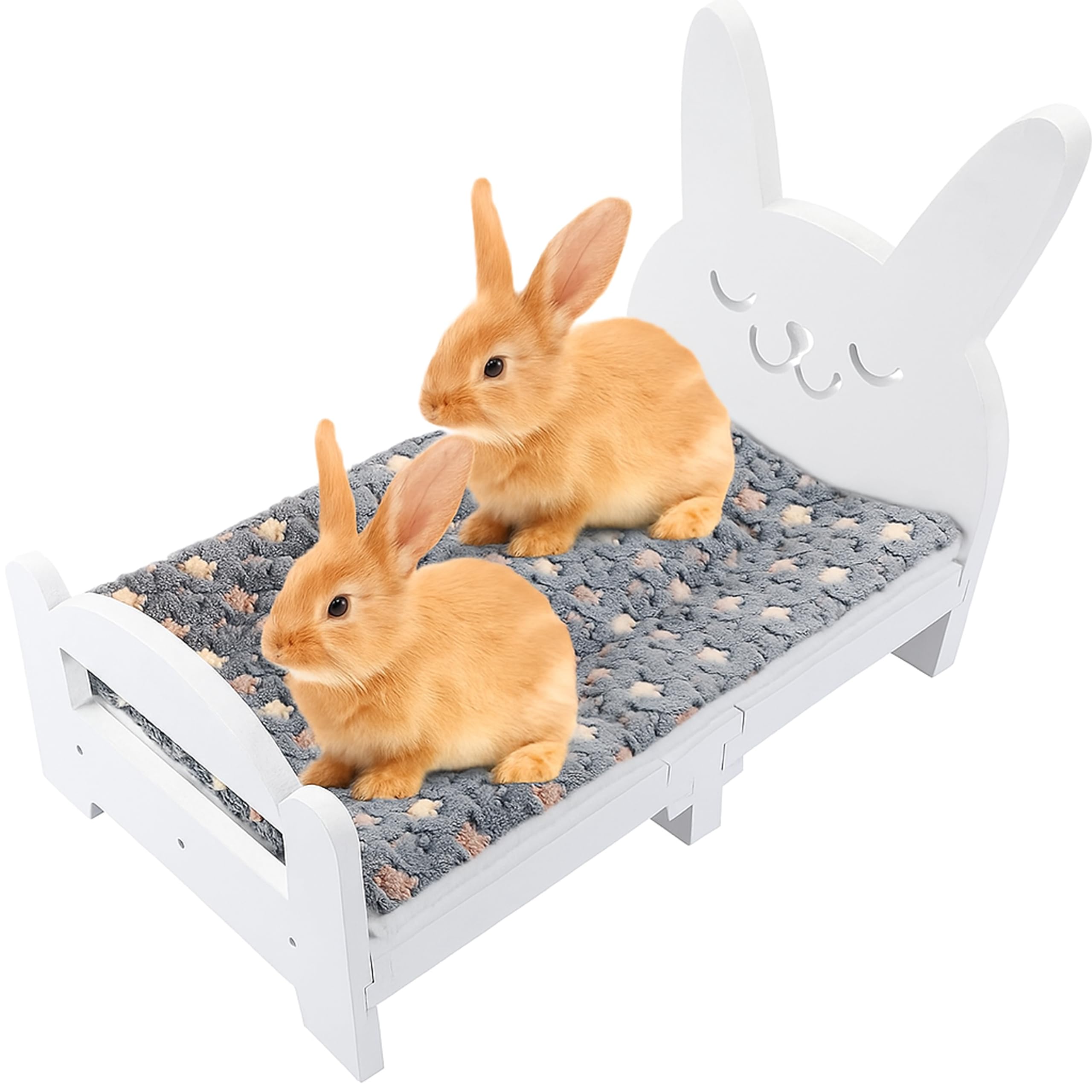 BELIEF WOOD Natural Wooden Pet Bed for All Ages | Stylish & Comfortable Bed for Dogs & Cats | Durable, EcoFriendly & NonToxic 