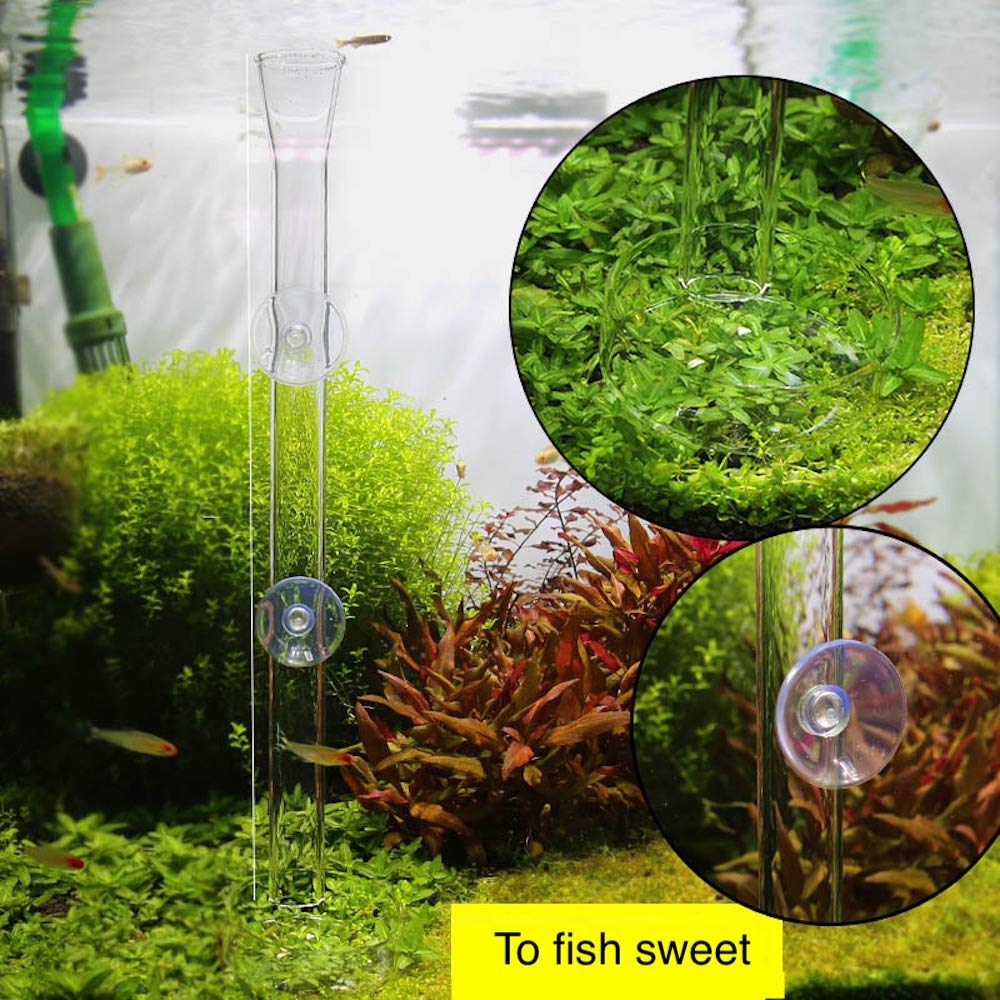 Shrimp Feeding Tube and Dish,Clear Crystal Glass Shrimp Feeder Tube Tray for Fish Tank Aquarium Shrimp (10)