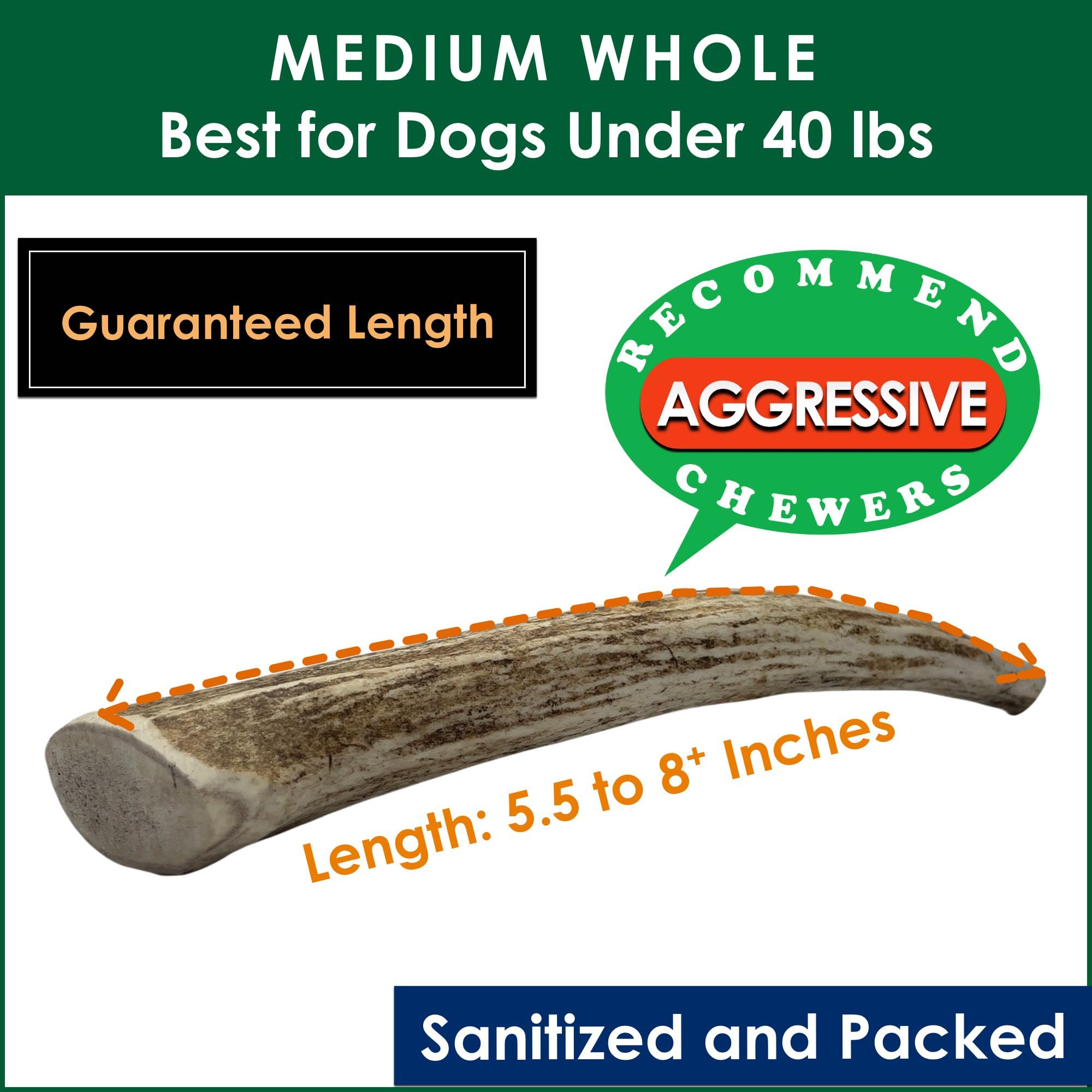 Deluxe Naturals 5-Pack Medium Whole Elk Antler Dog Chews, 5.5-8+ Inches, Long-Lasting Natural Dog Chews for Aggressive Chewers,