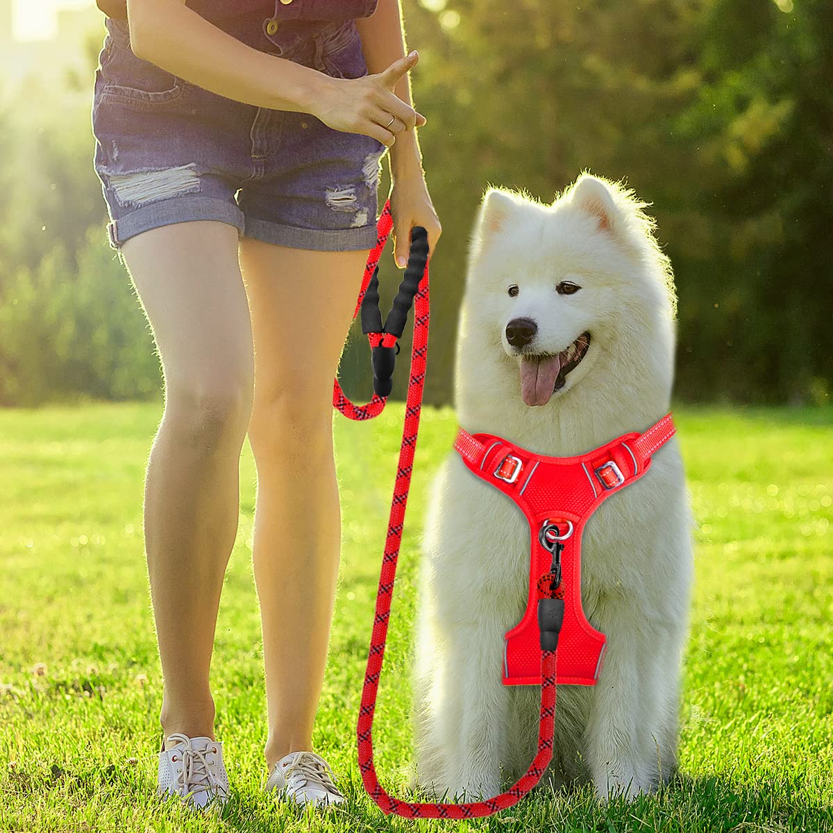 BARKBAY No Pull Dog Harness Front Clip Heavy Duty Reflective Easy Control Handle for Large Dog Walking with ID tag Pocket(Red,XL